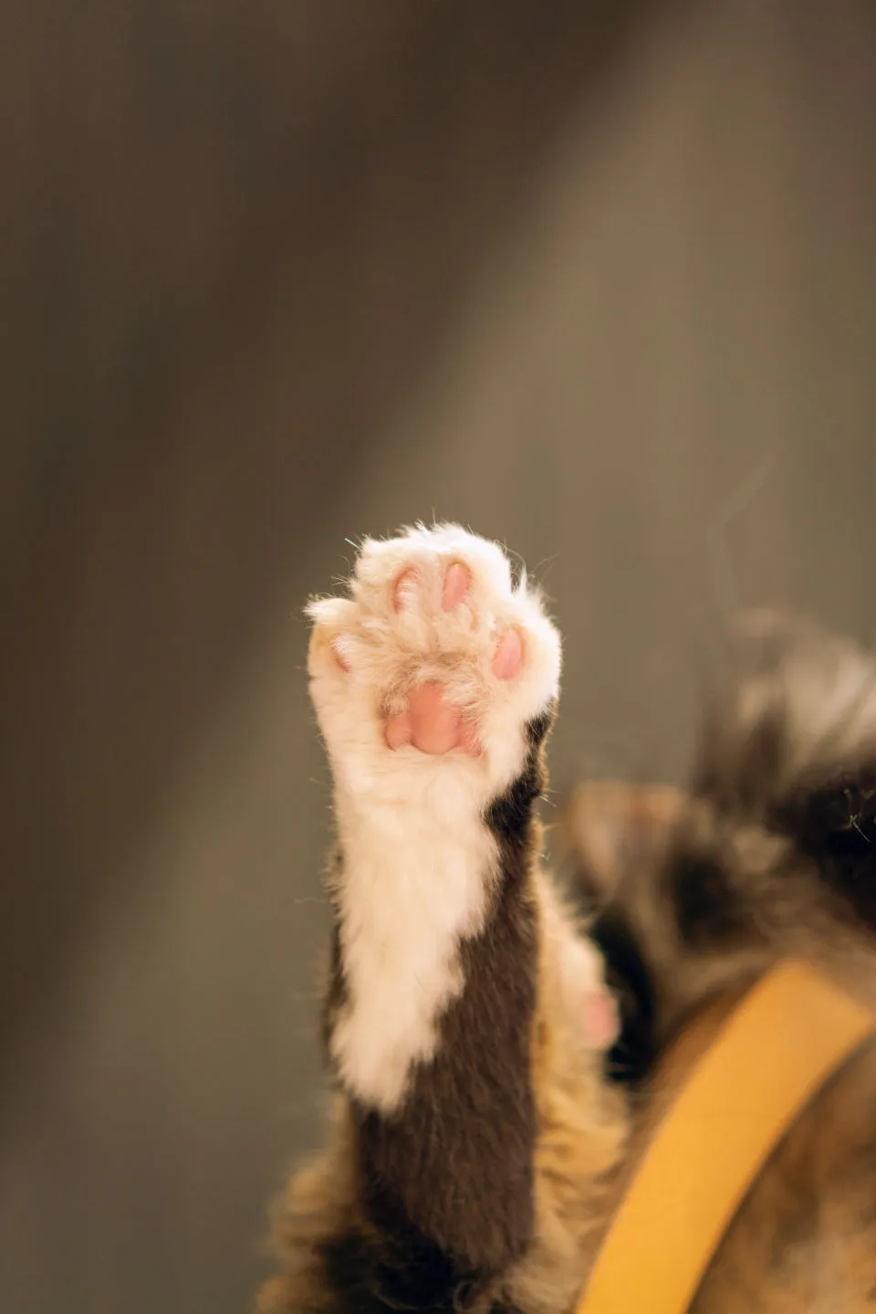 resize_DSC08250_2024_07_14 (2).jpg.webp