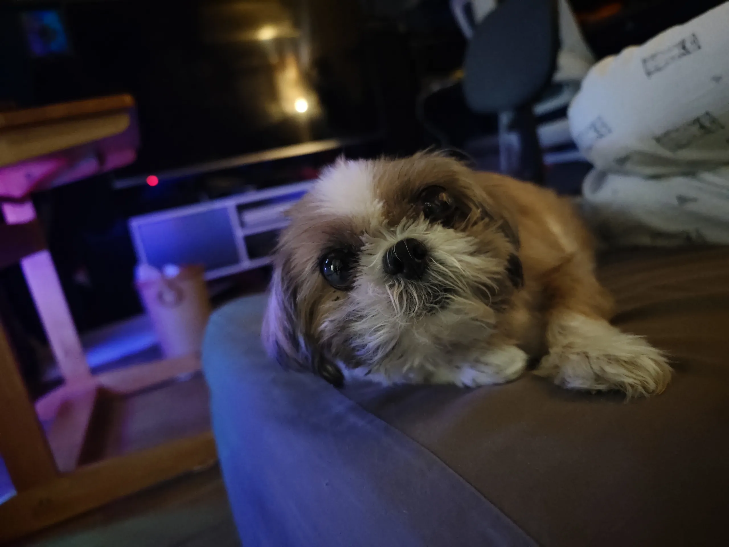 IMG_20260330_212954.jpg.webp