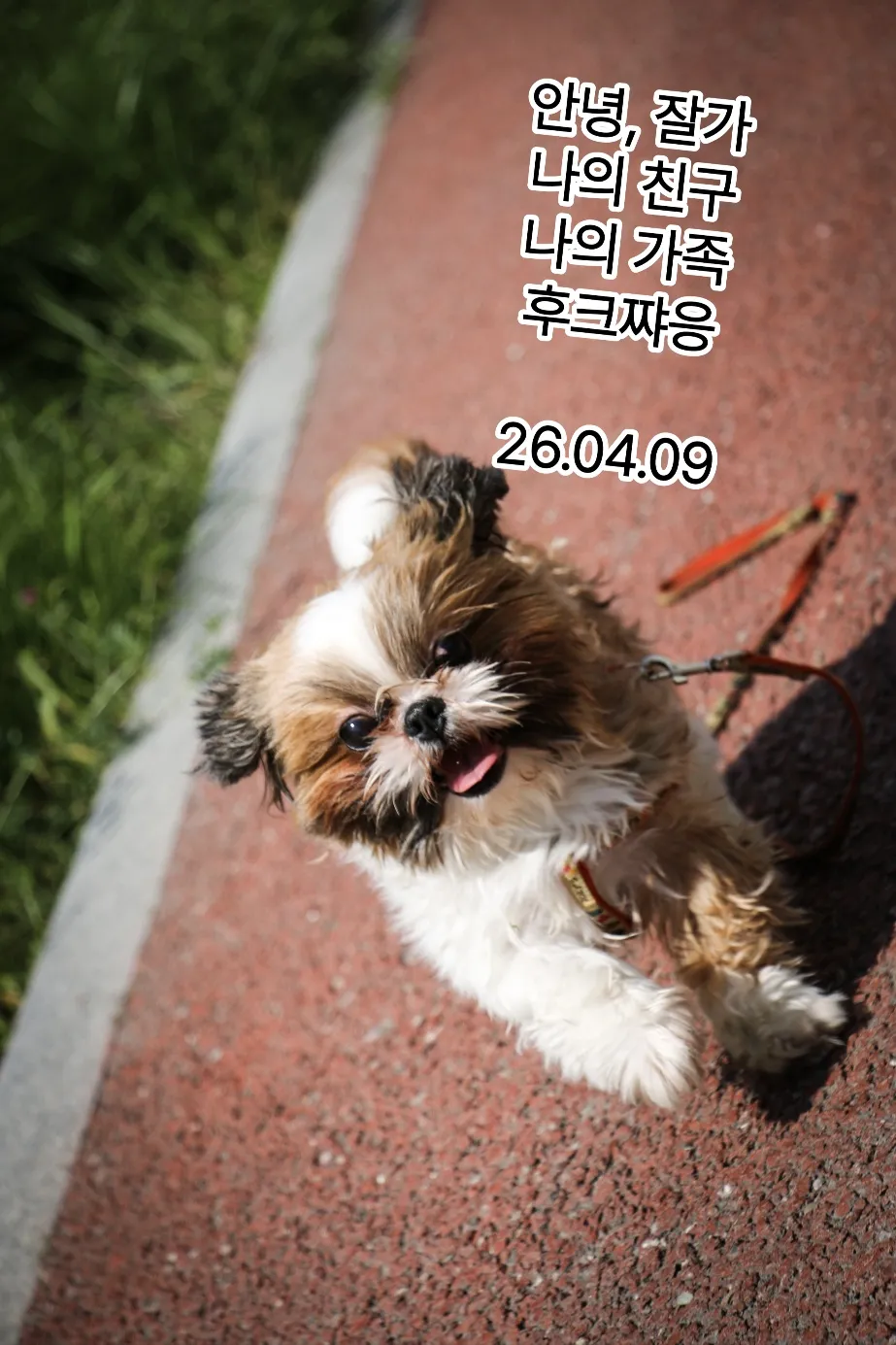 IMG_20260409_162610.jpg.webp