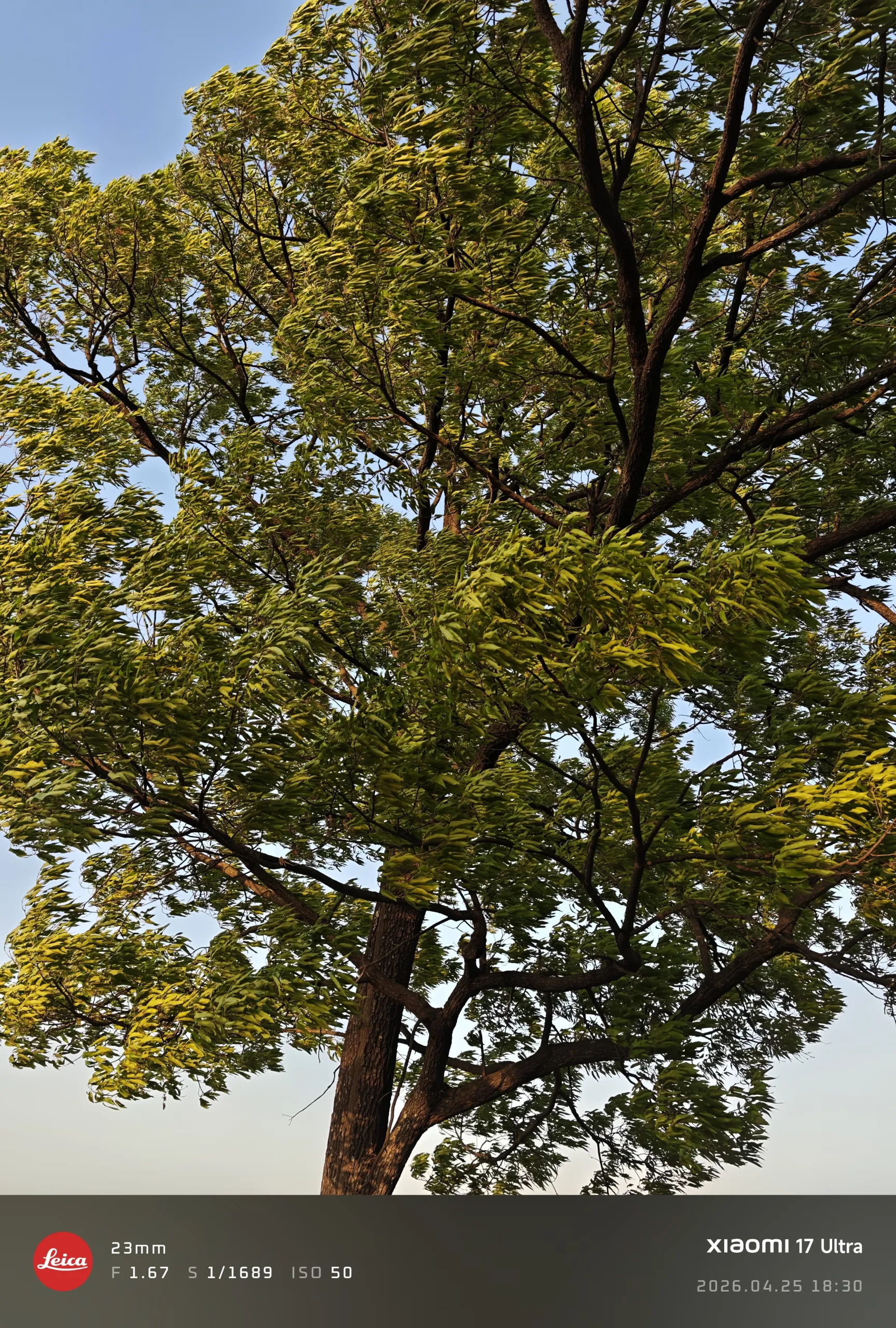 IMG_20260425_183008.jpg.webp