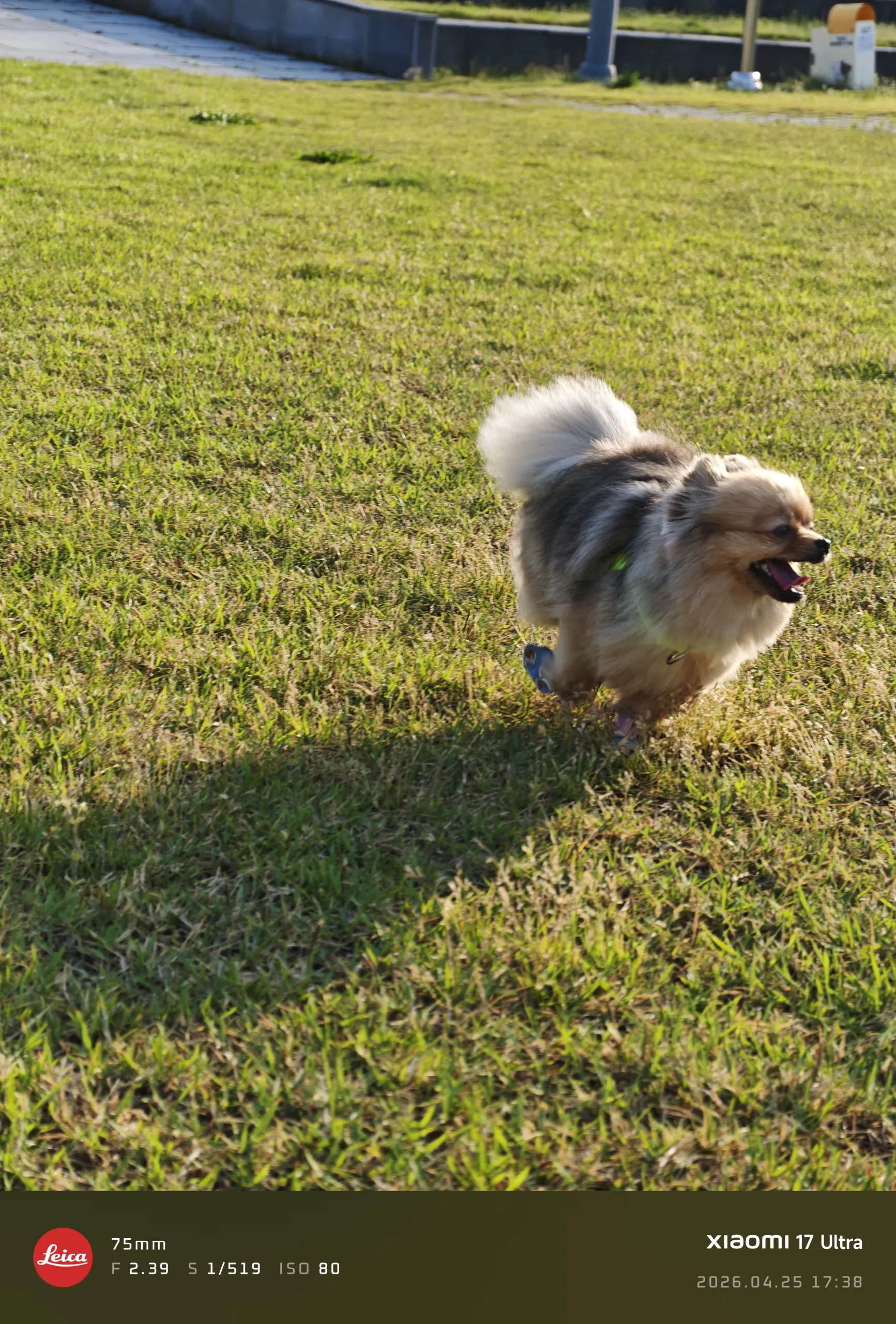 IMG_20260425_173809.jpg.webp