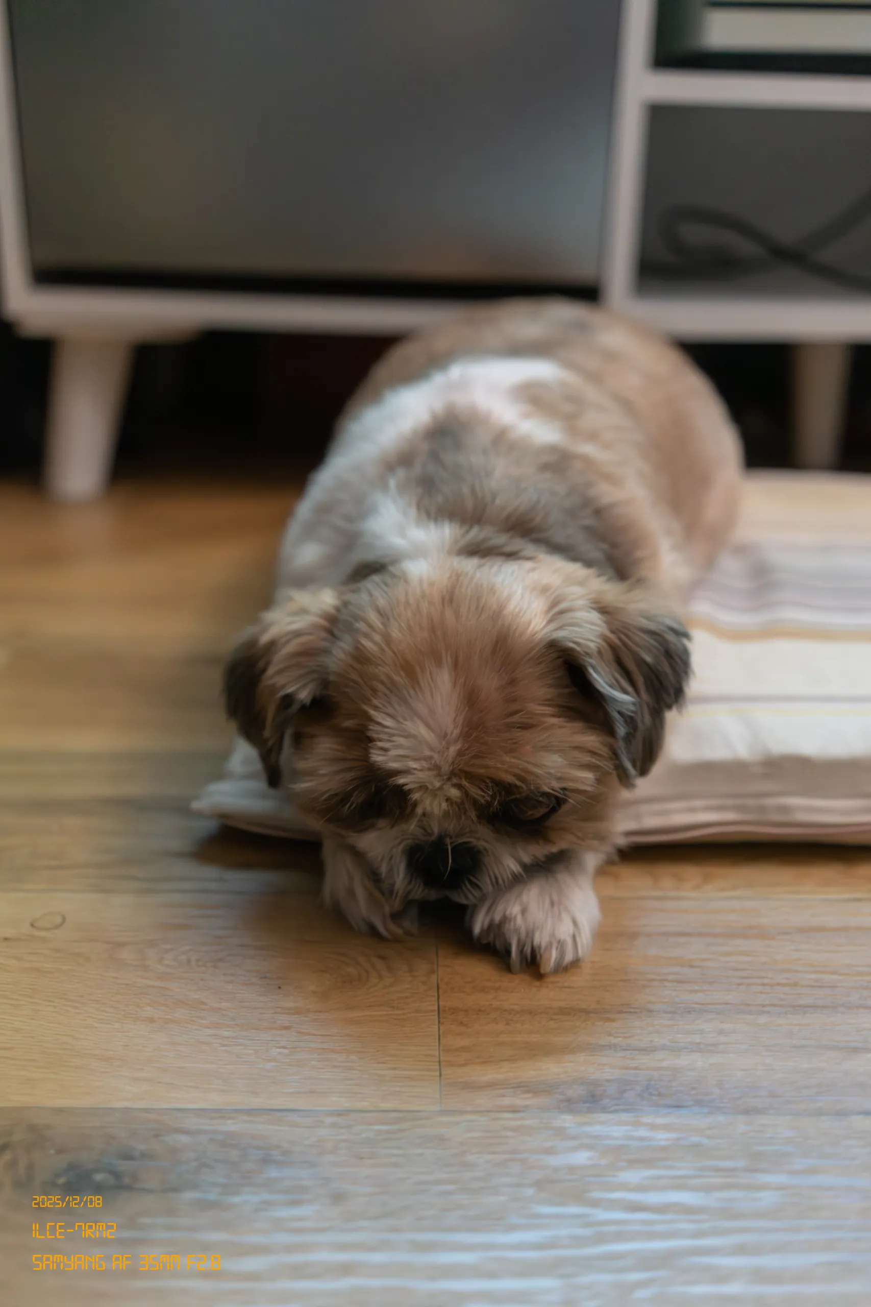 DSC09220.jpg.webp