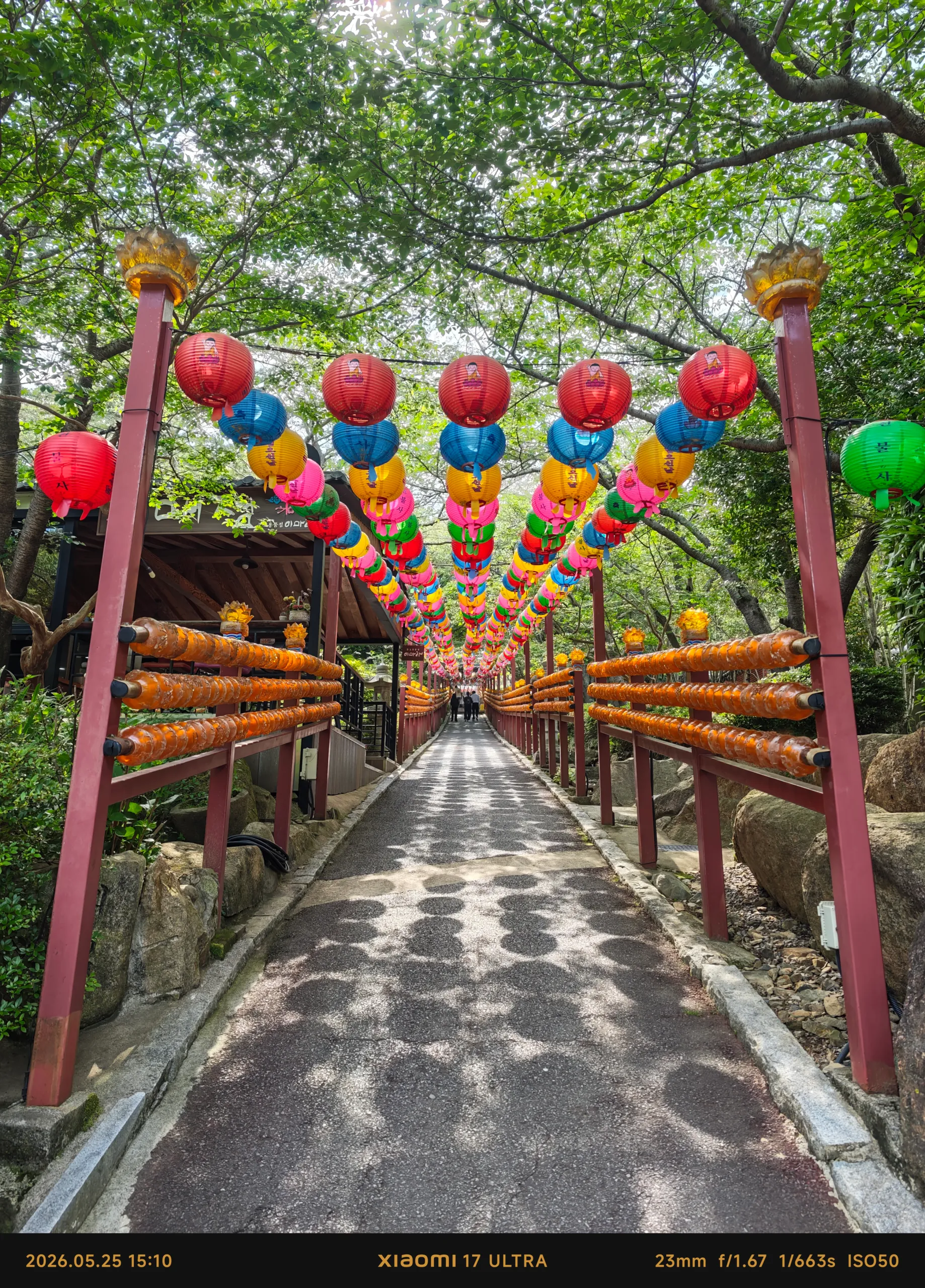 resize_IMG_20260528_094636.webp