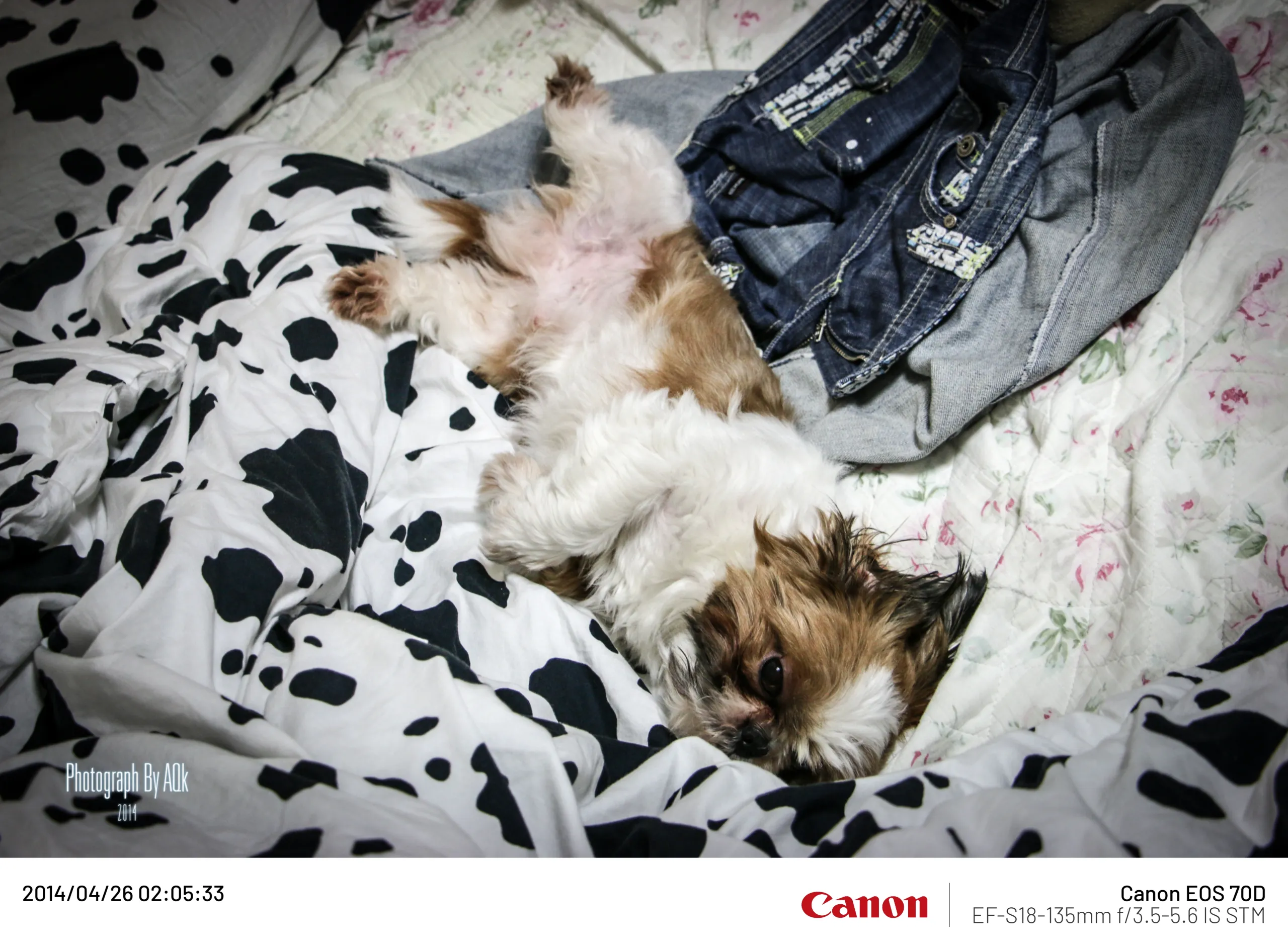 20140426-2.webp