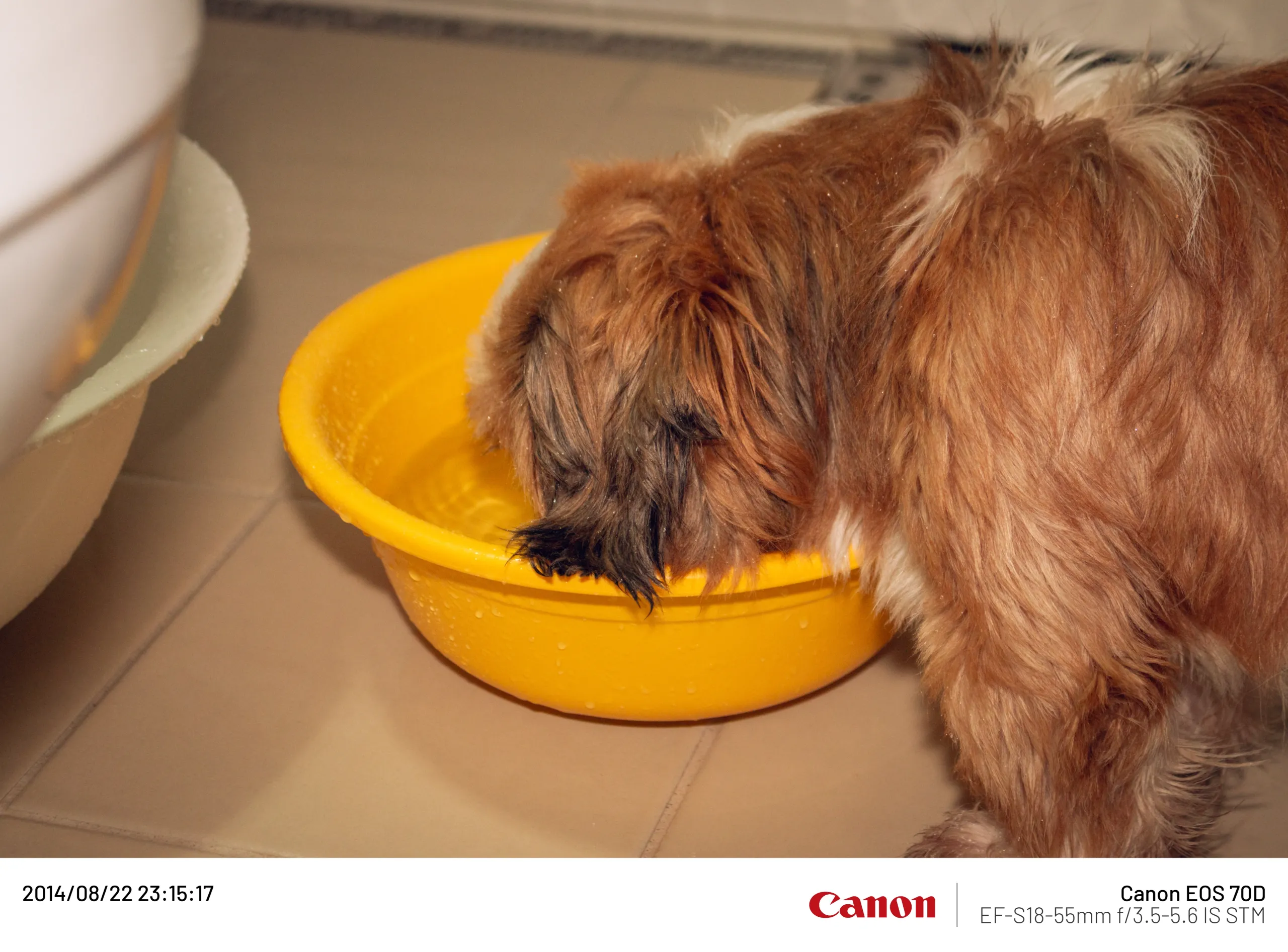 20140822-001.webp