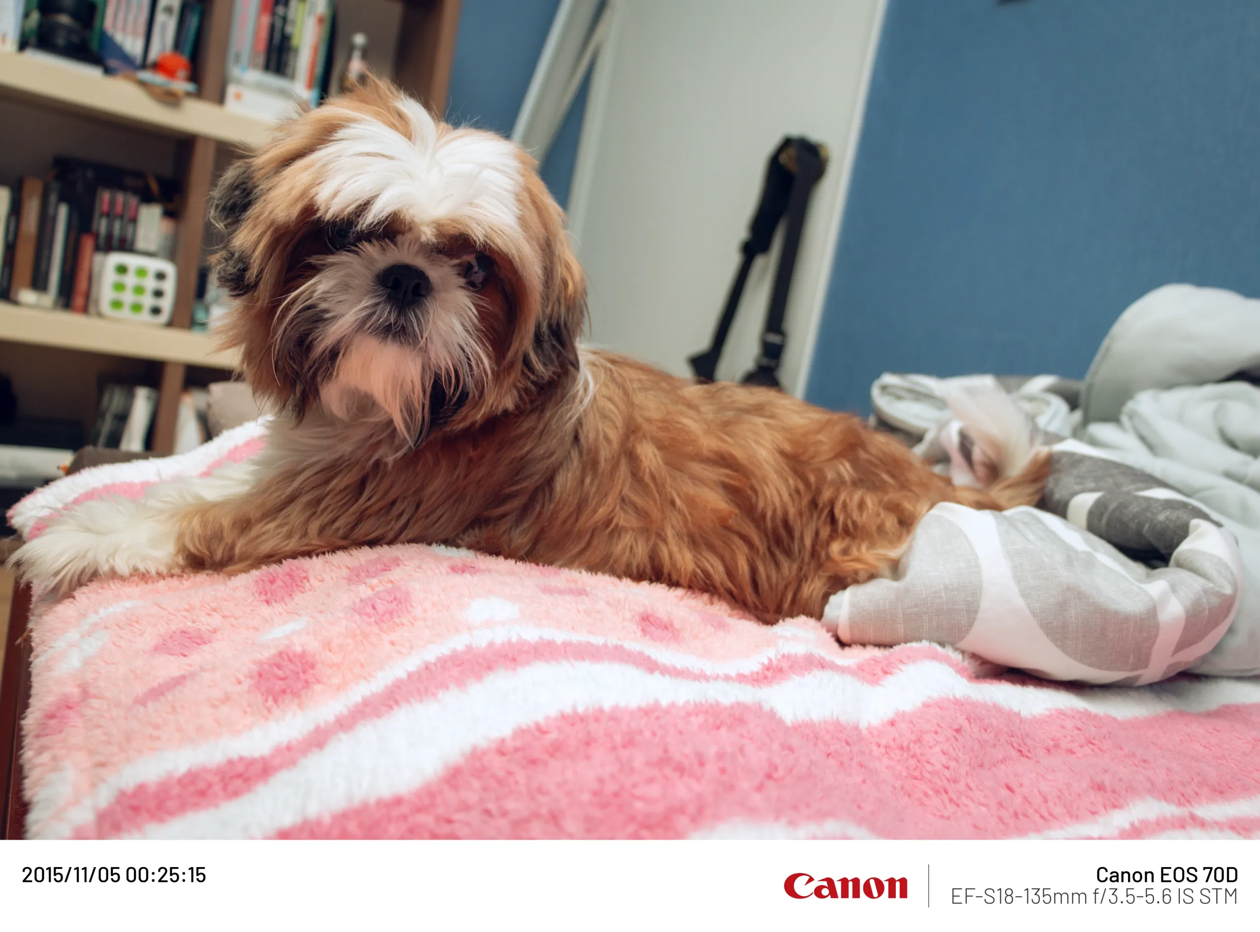 20151105-004.webp