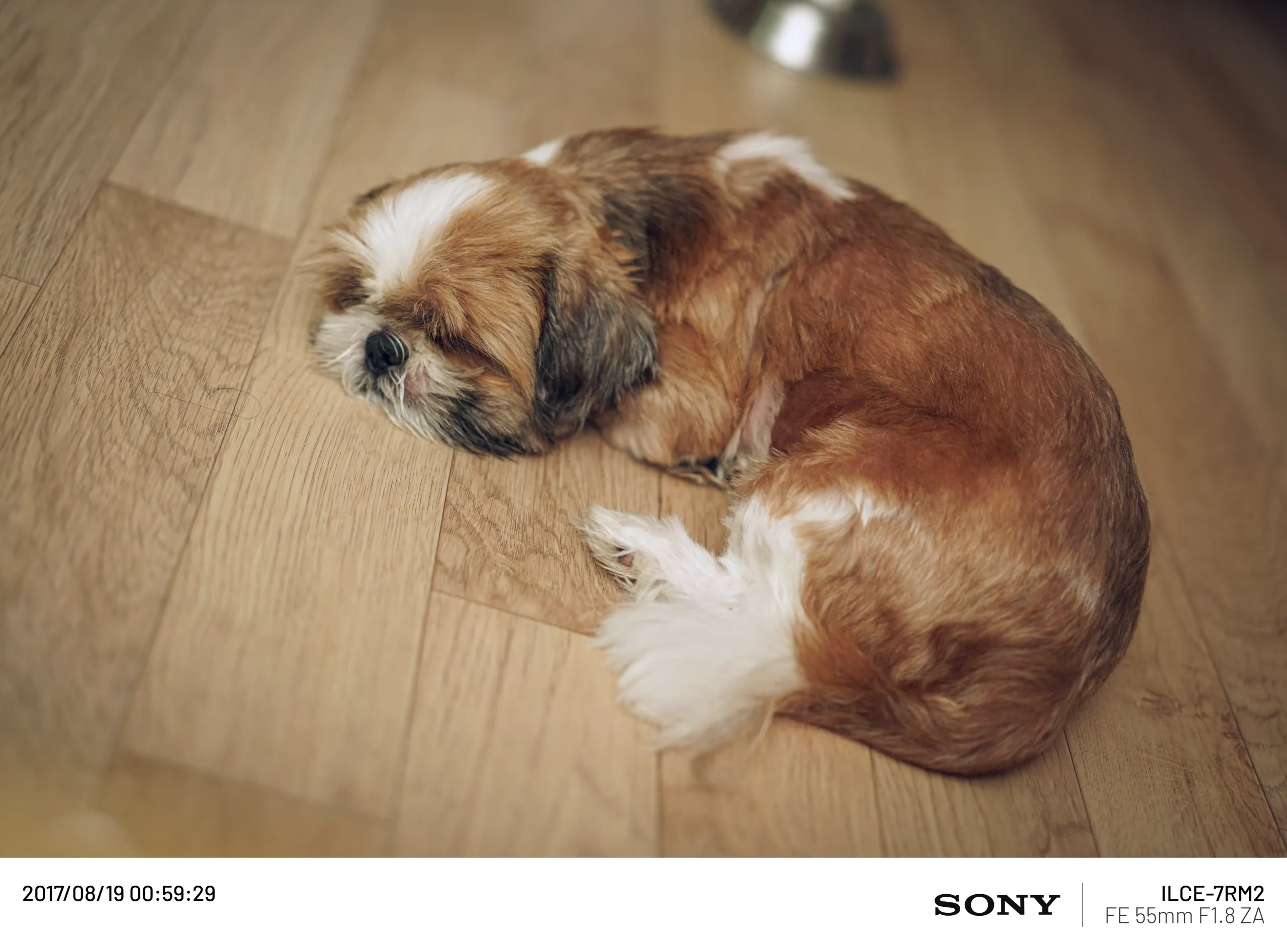 20170819-013.webp