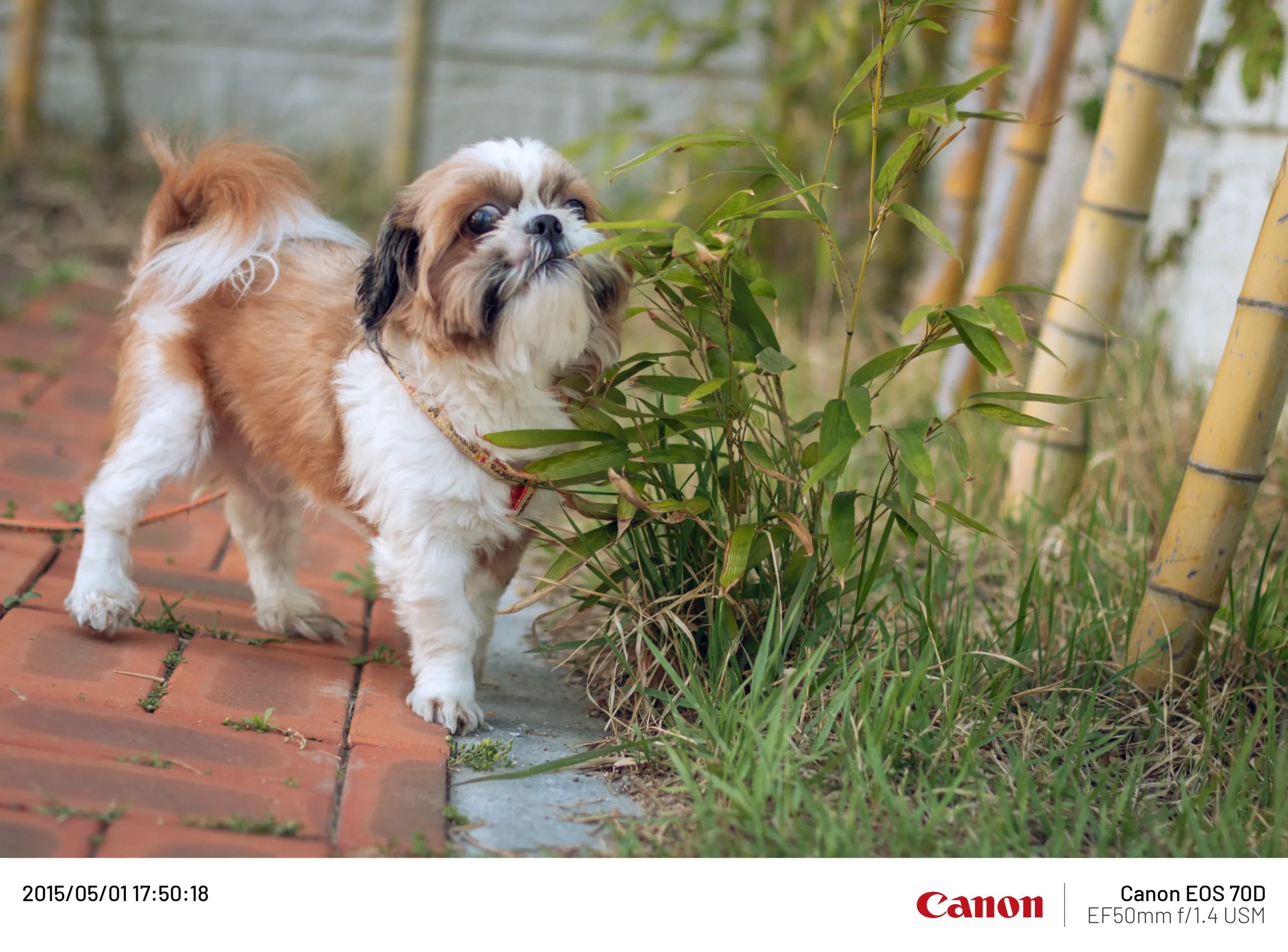 20150501-001.webp
