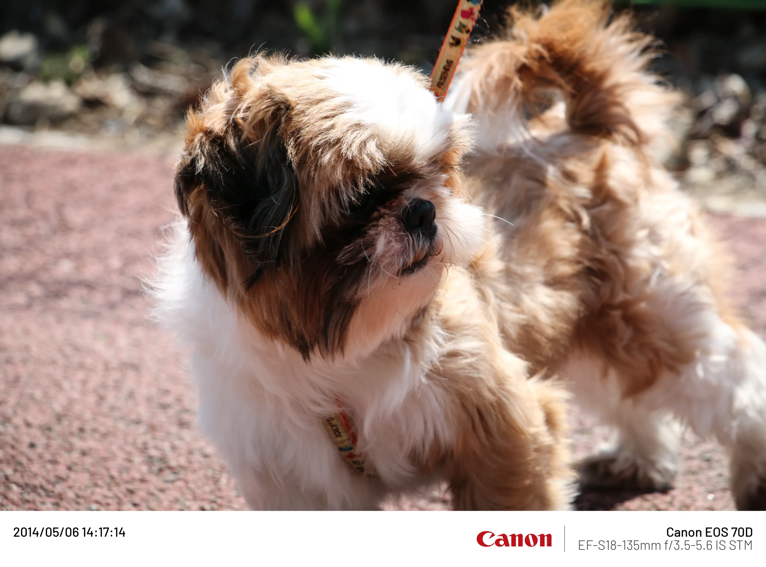 20140506 (2).webp