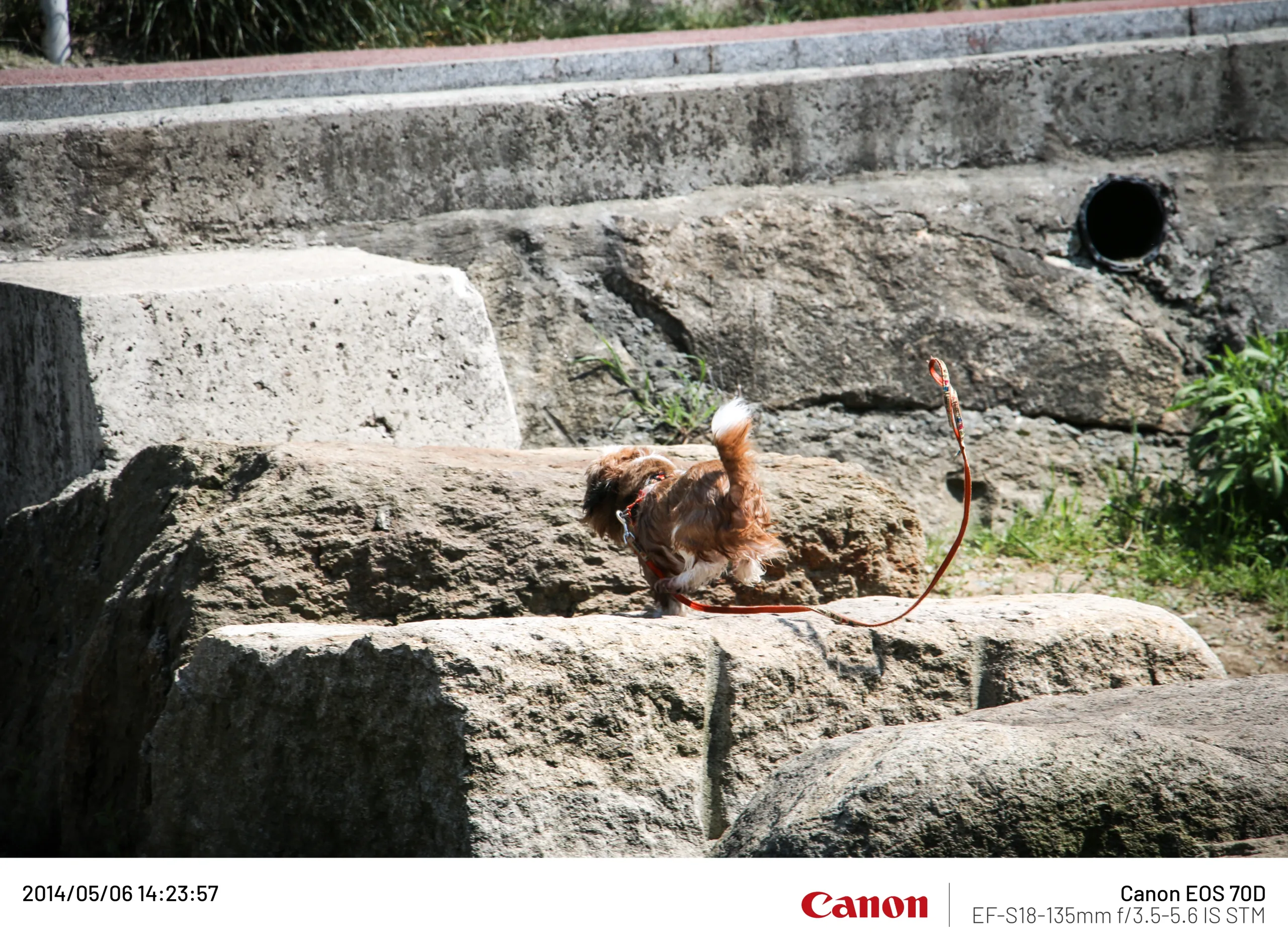 20140506 (5).webp