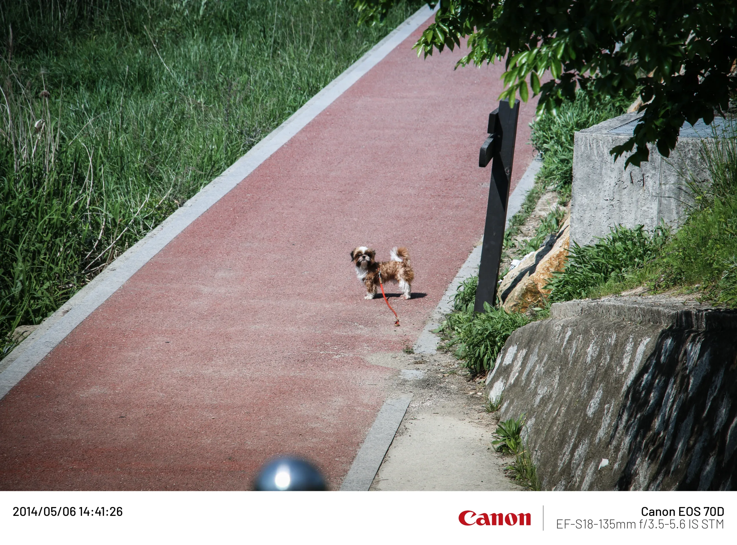 20140506 (12).webp
