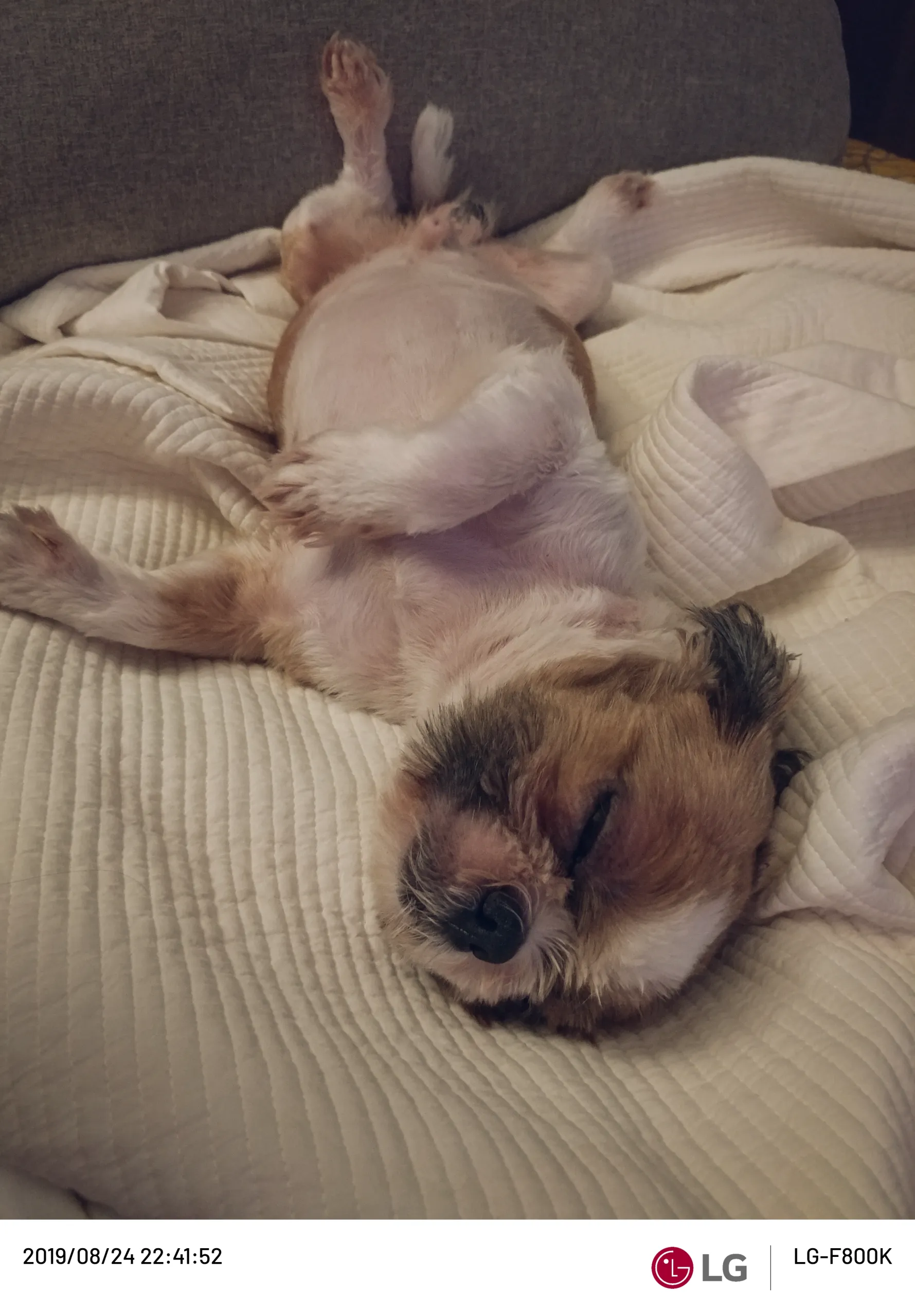 20190824-20190824_224152.webp
