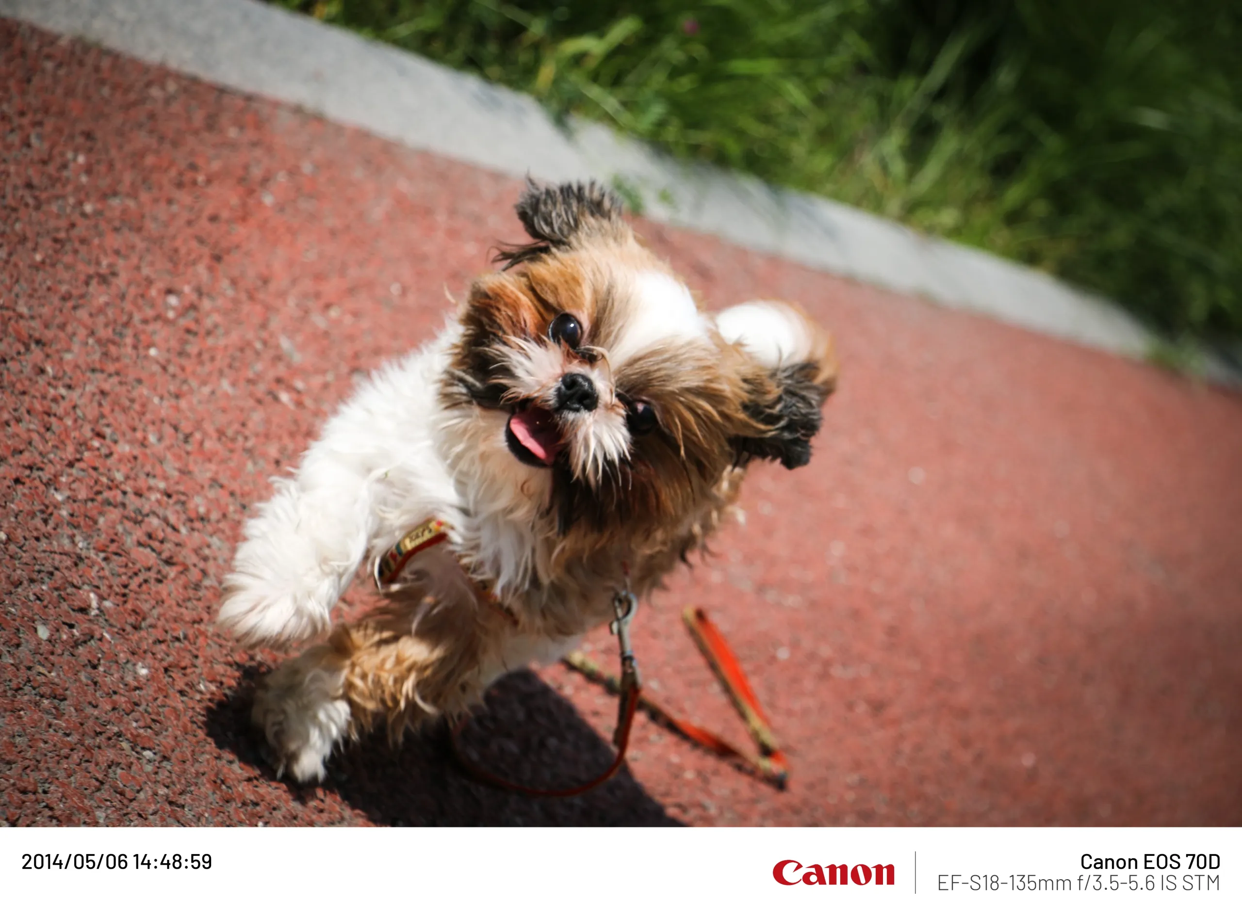 20140506 (17).webp