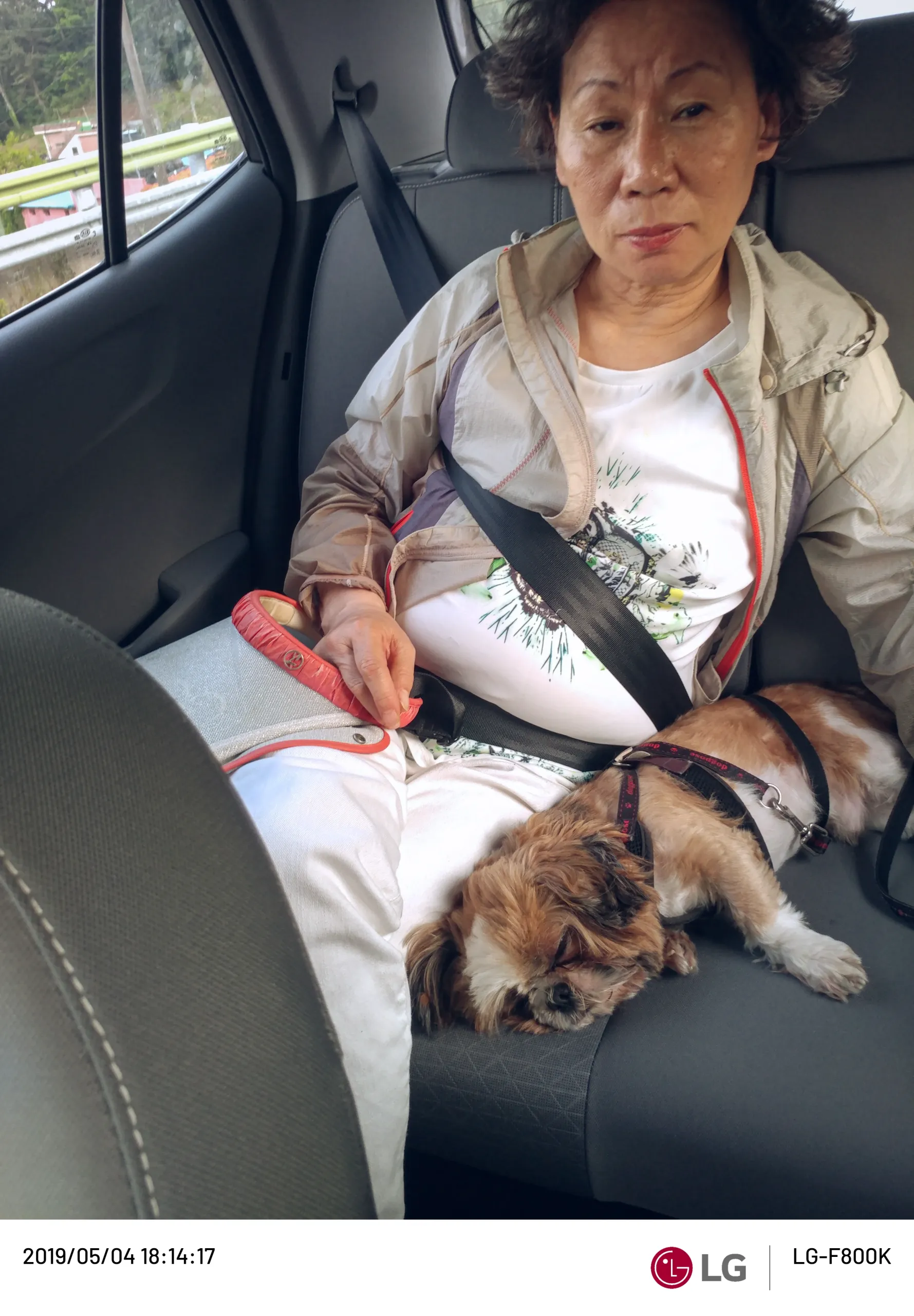 20190504-20190504_181418.webp