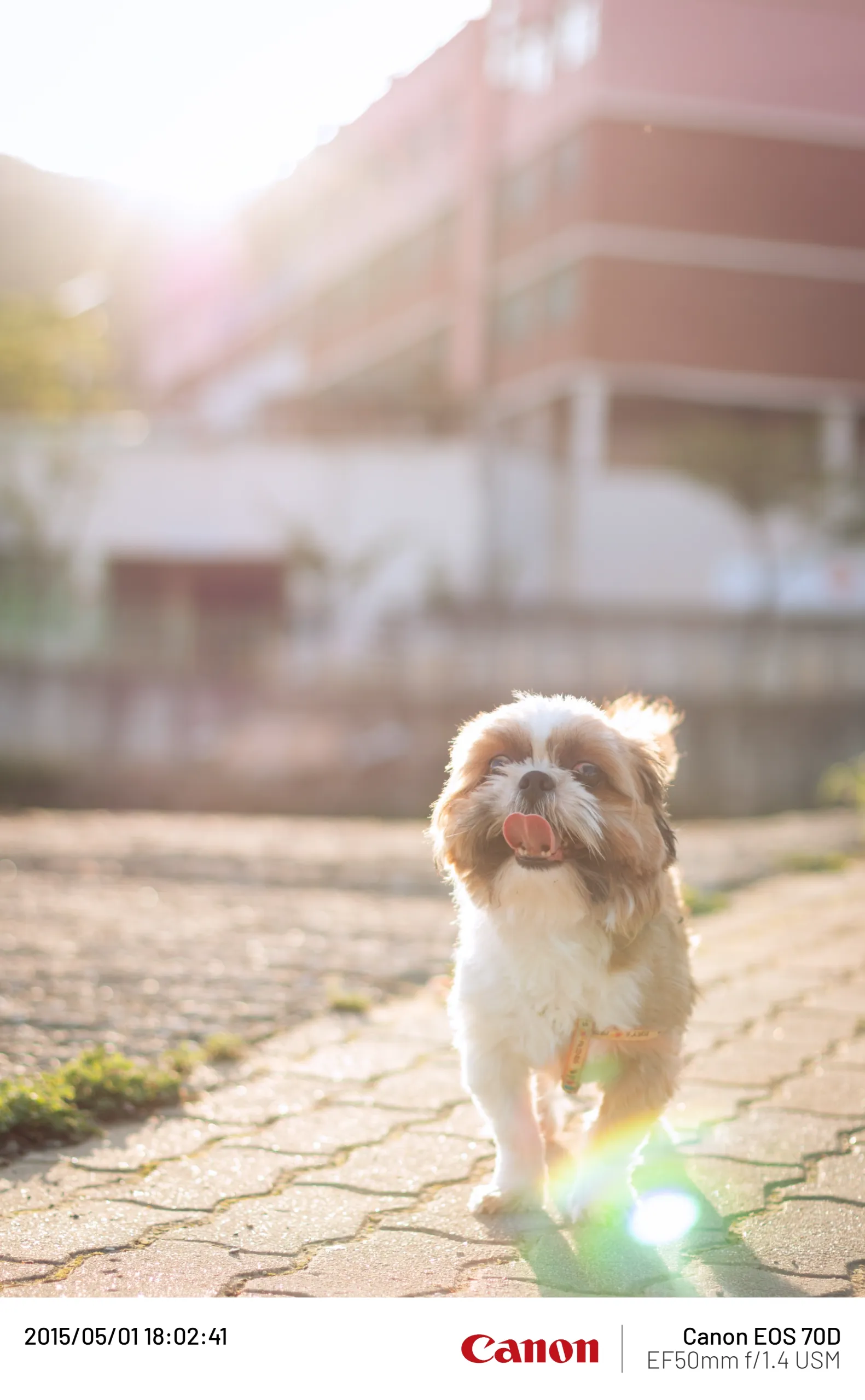 20150501-010.webp