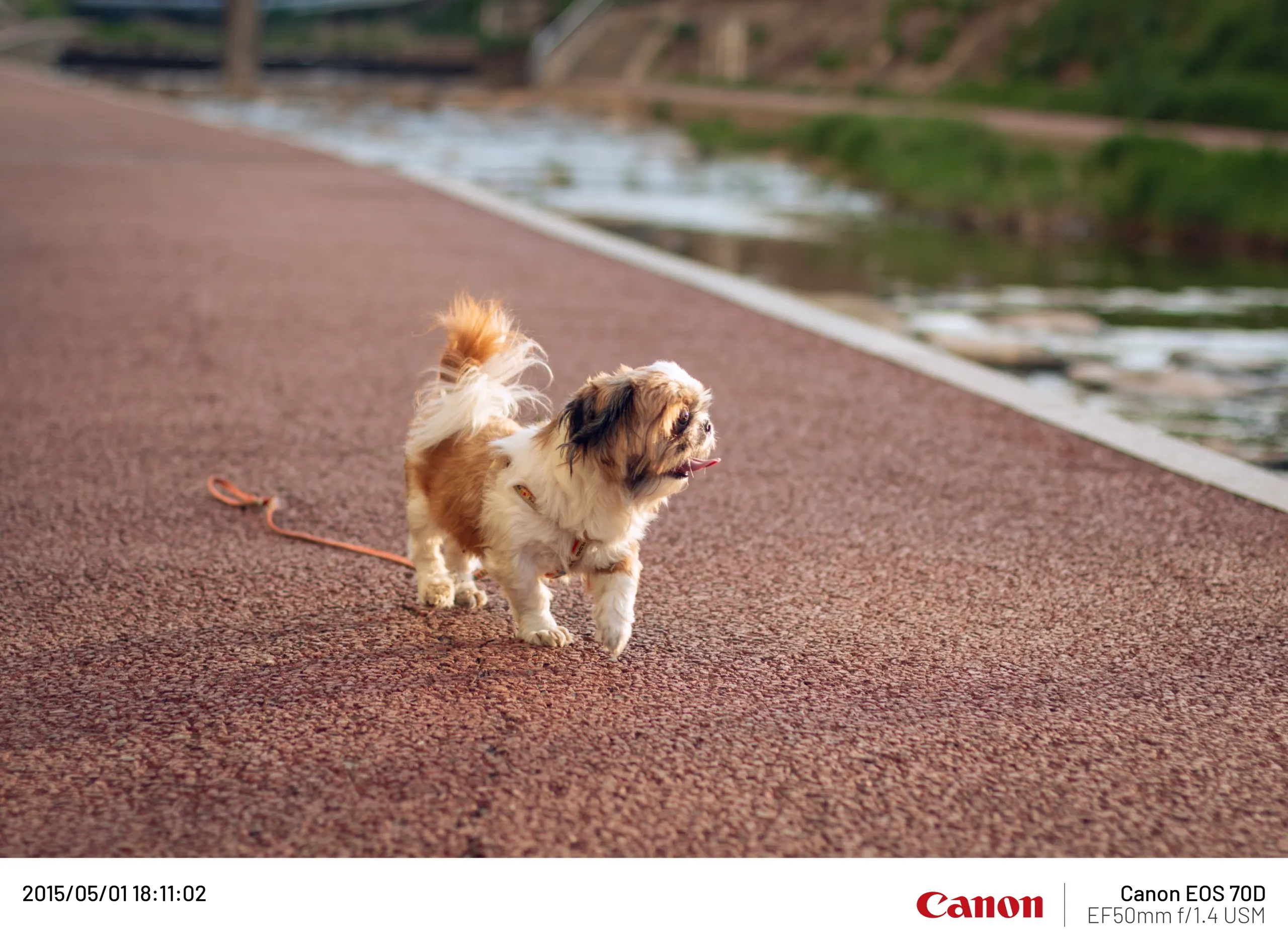 20150501-017.webp