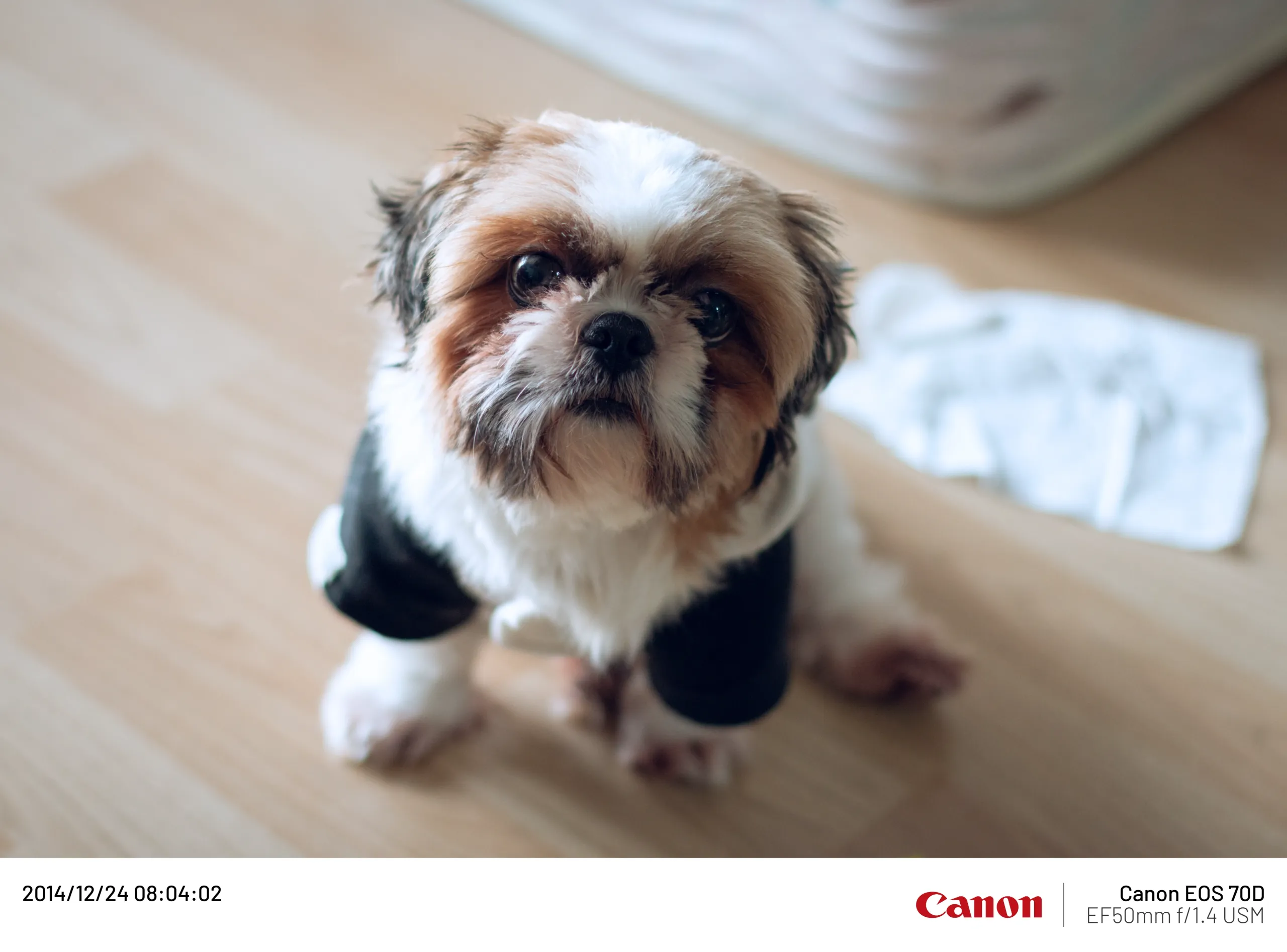20141224-012.webp