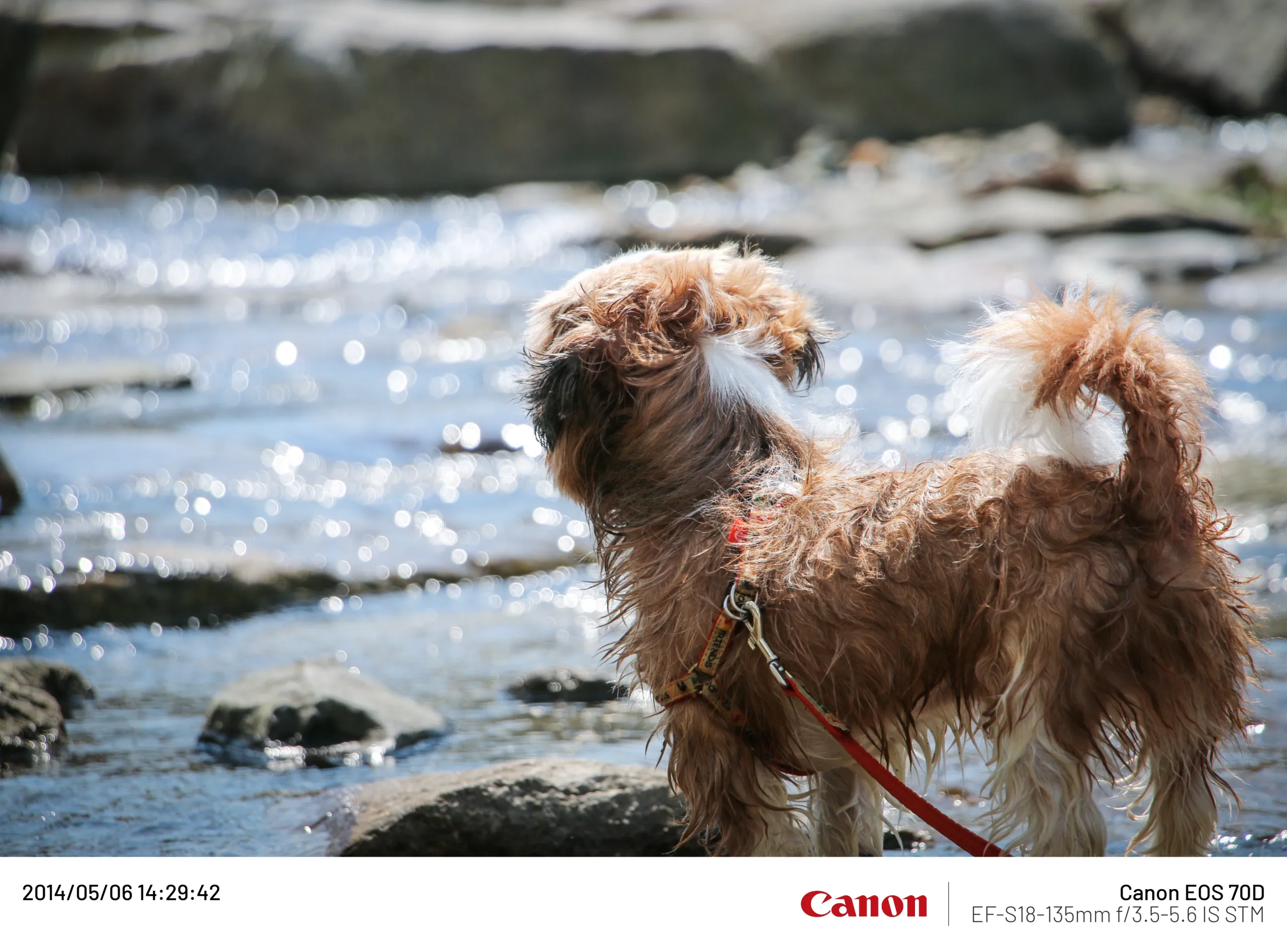 20140506 (9).webp