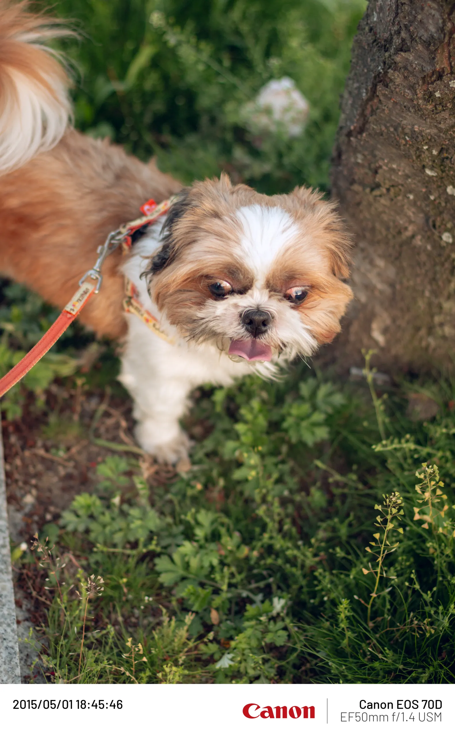 20150501-028.webp