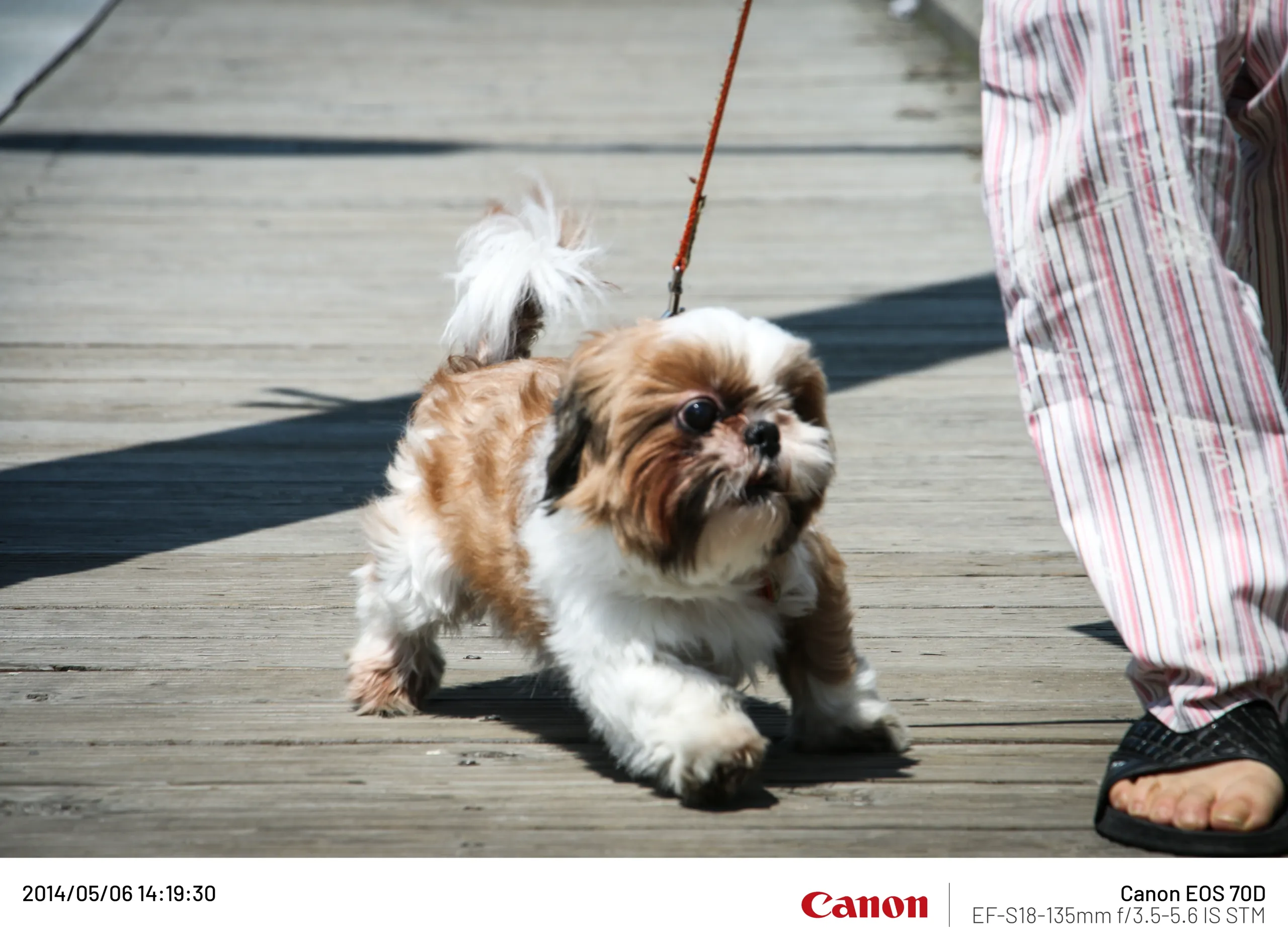 20140506 (3).webp