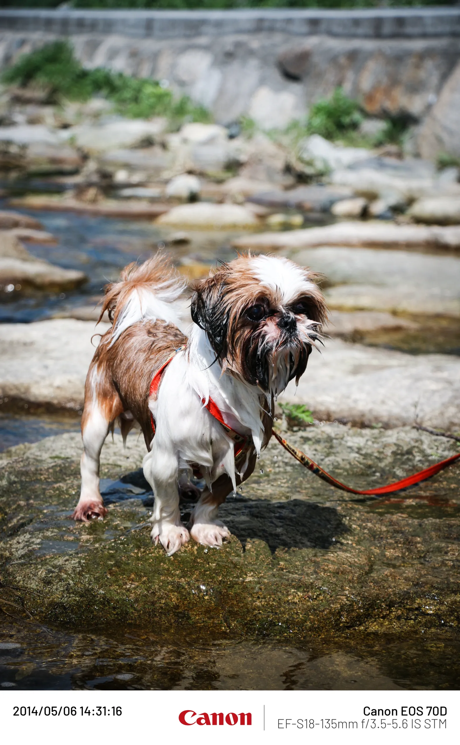 20140506 (10).webp