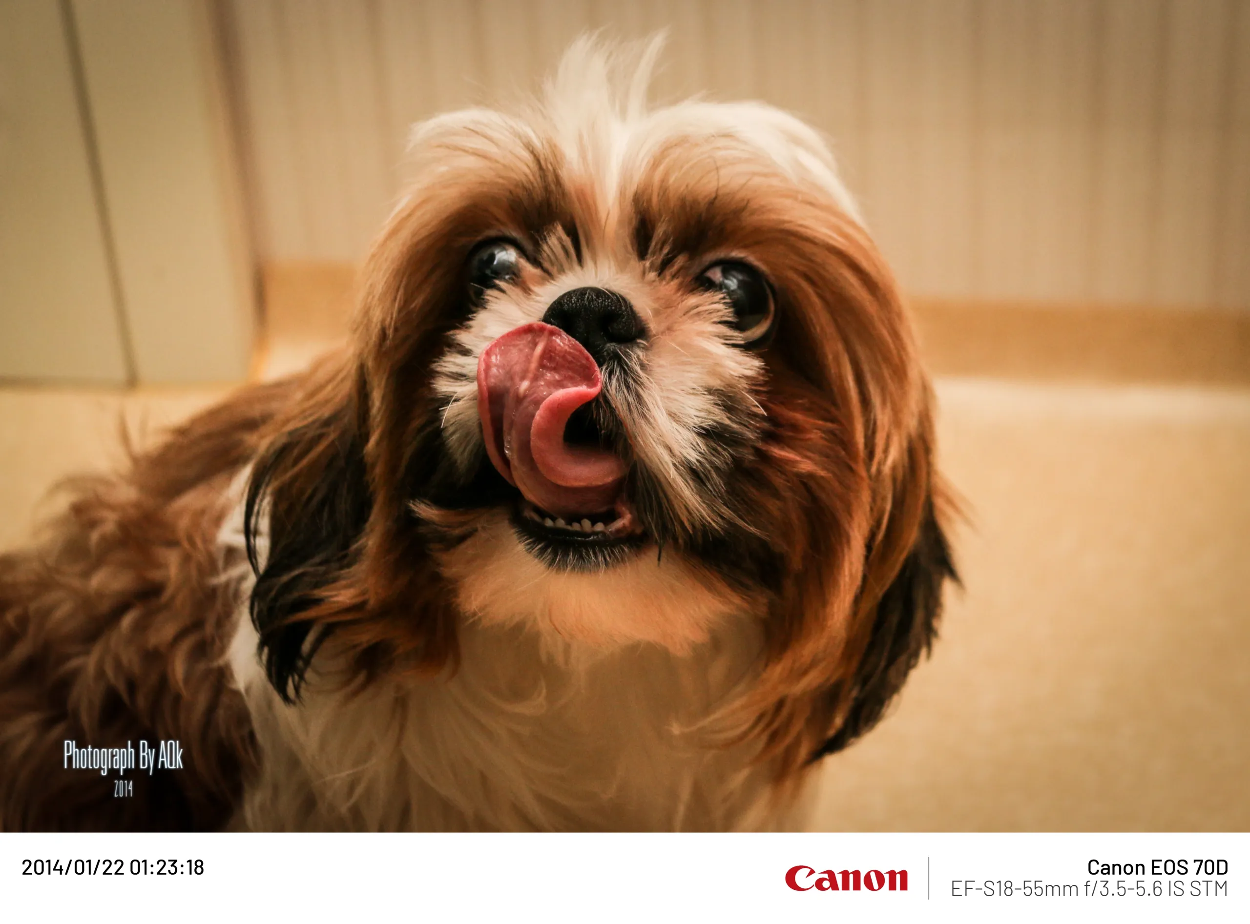 20140122-2.webp