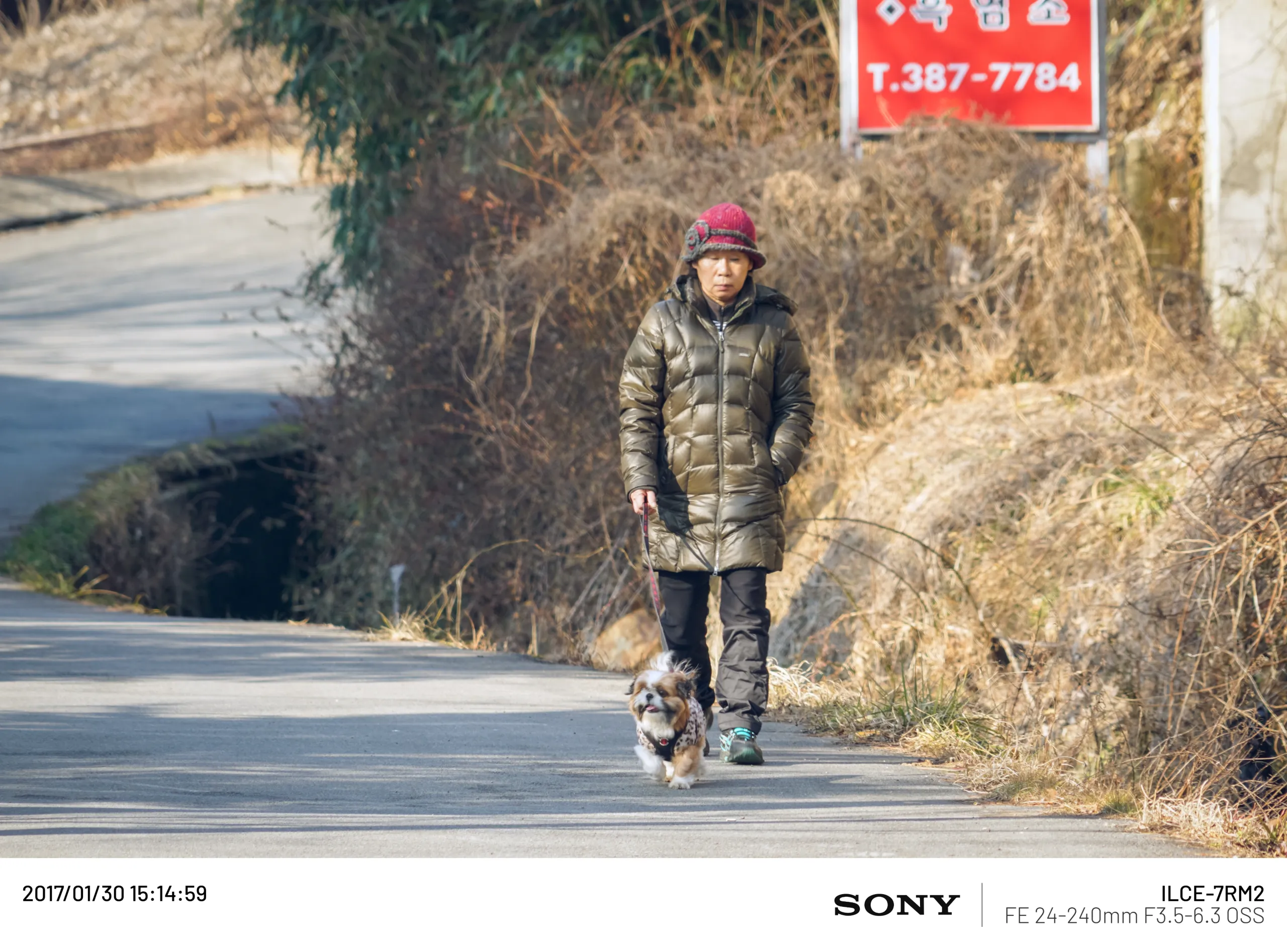 20170130-DSC02588.webp