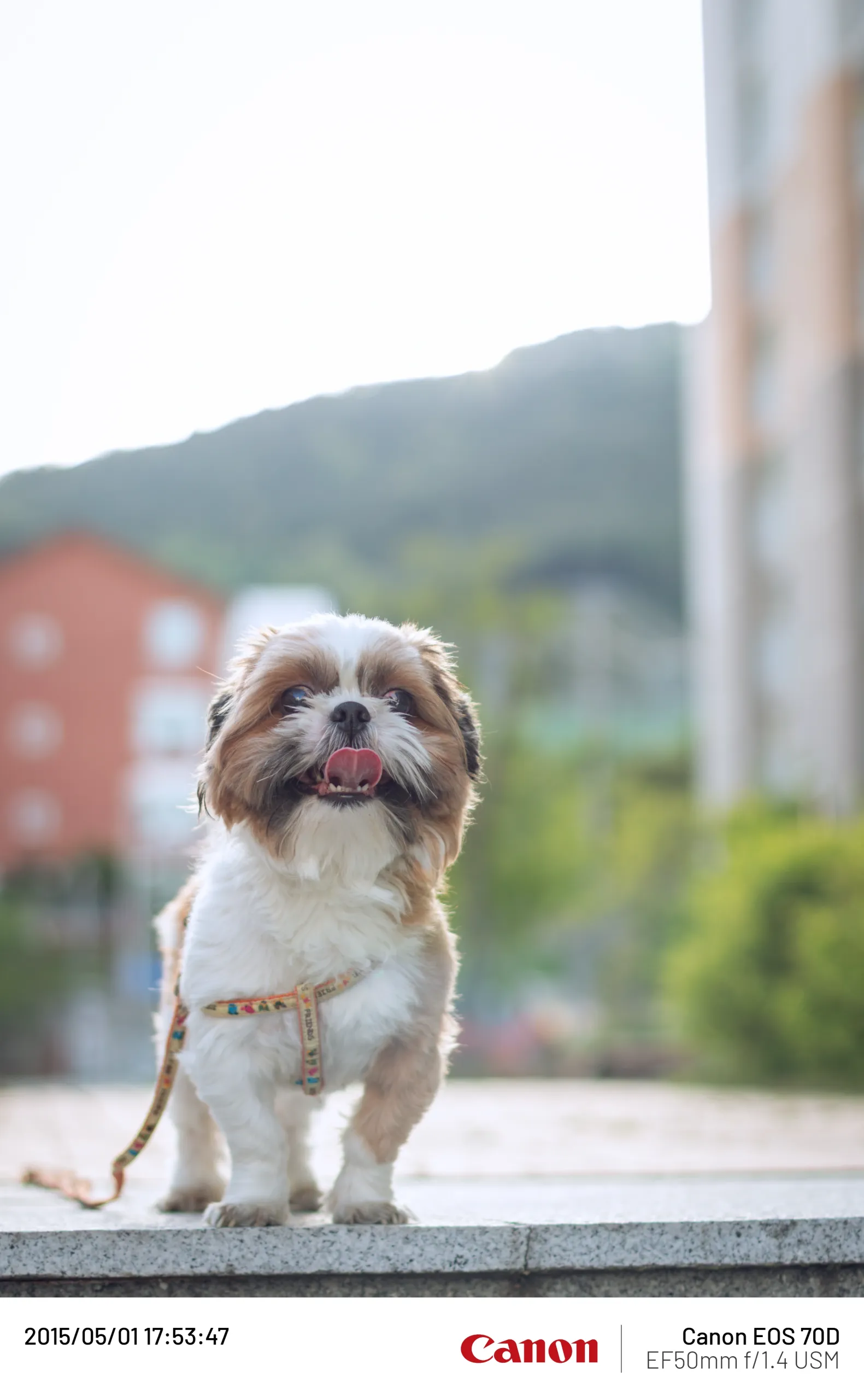20150501-002.webp