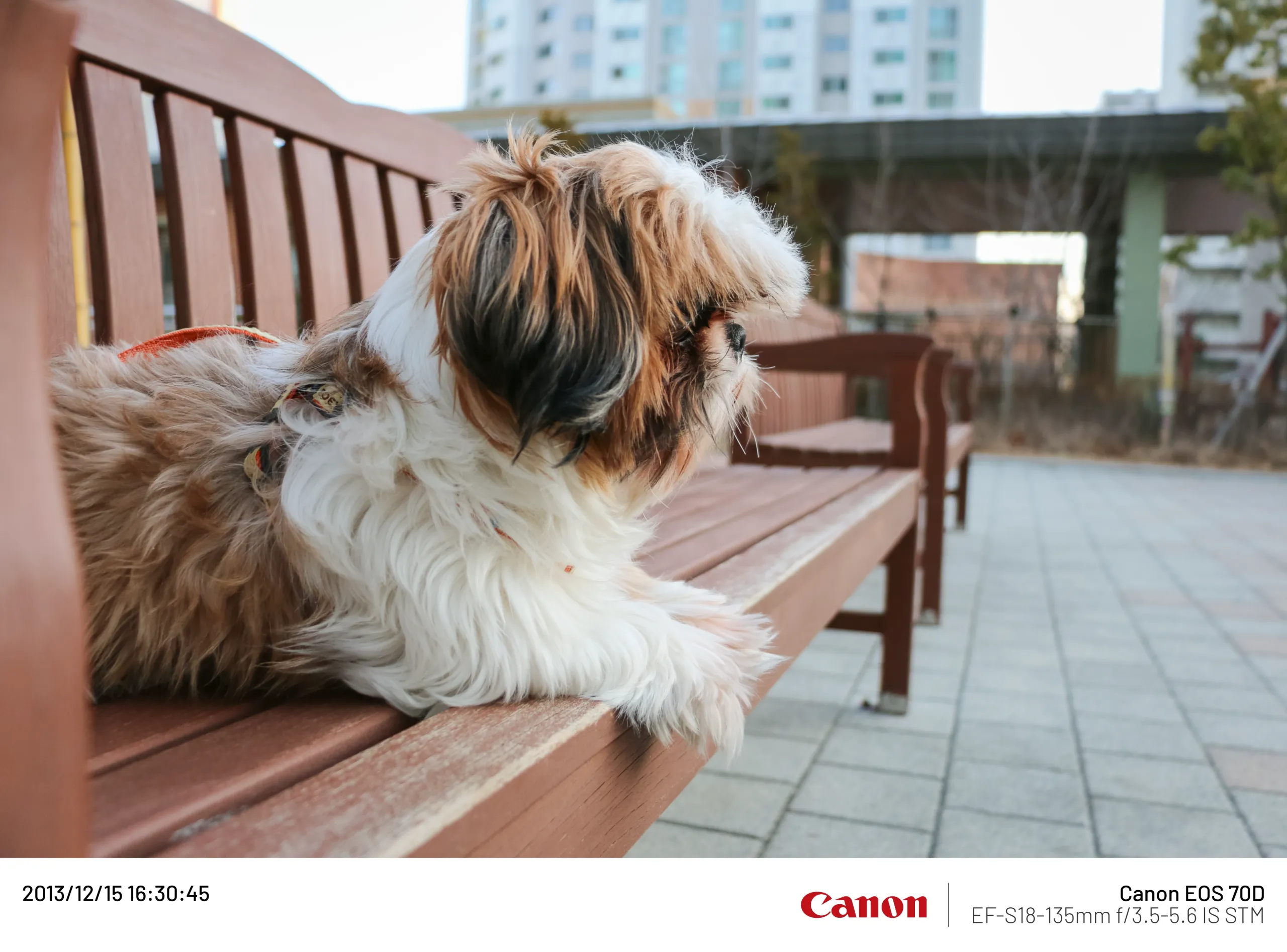 20131215-020.webp