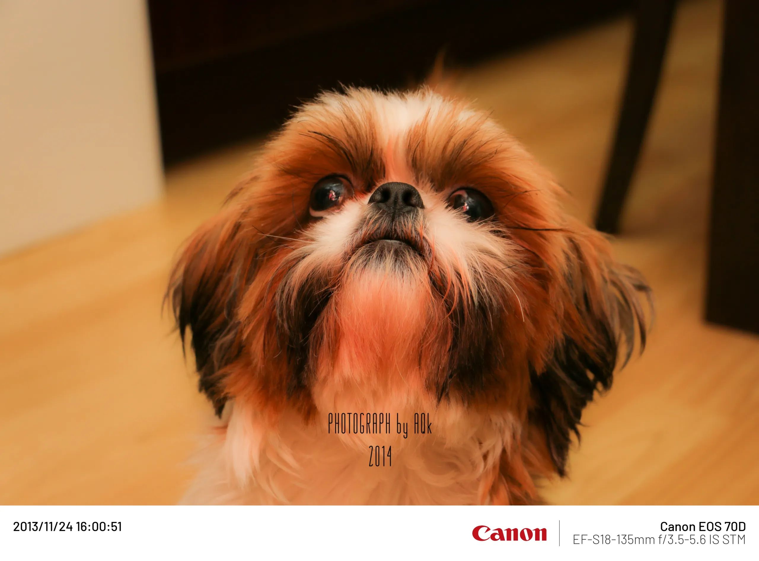 20131124.webp
