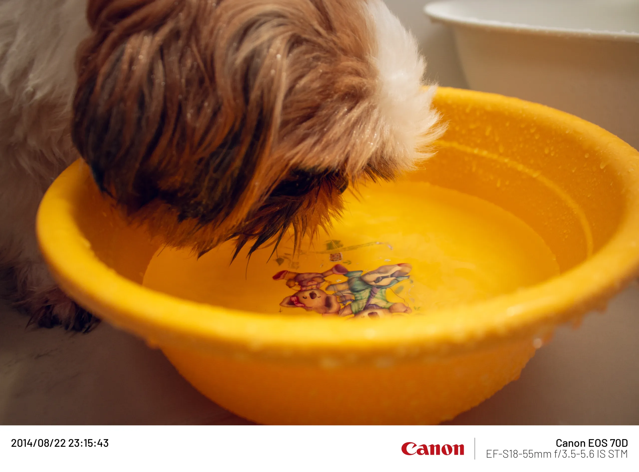 20140822-002.webp