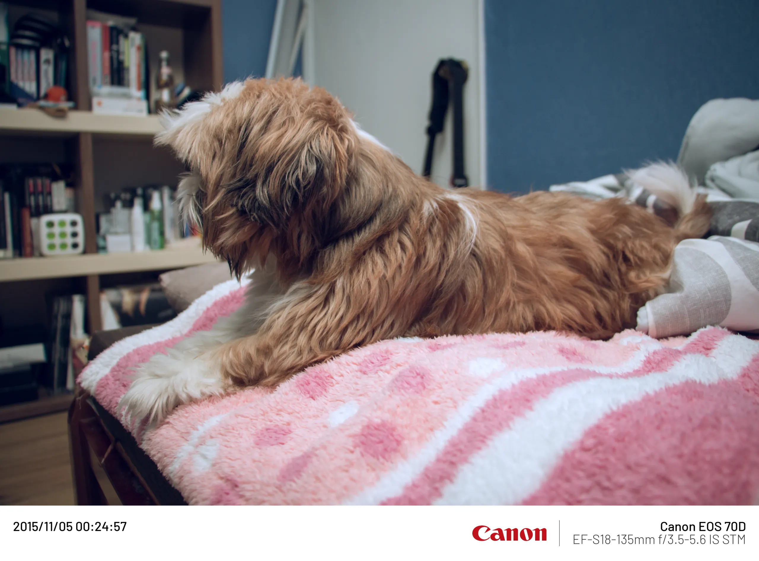 20151105-003.webp