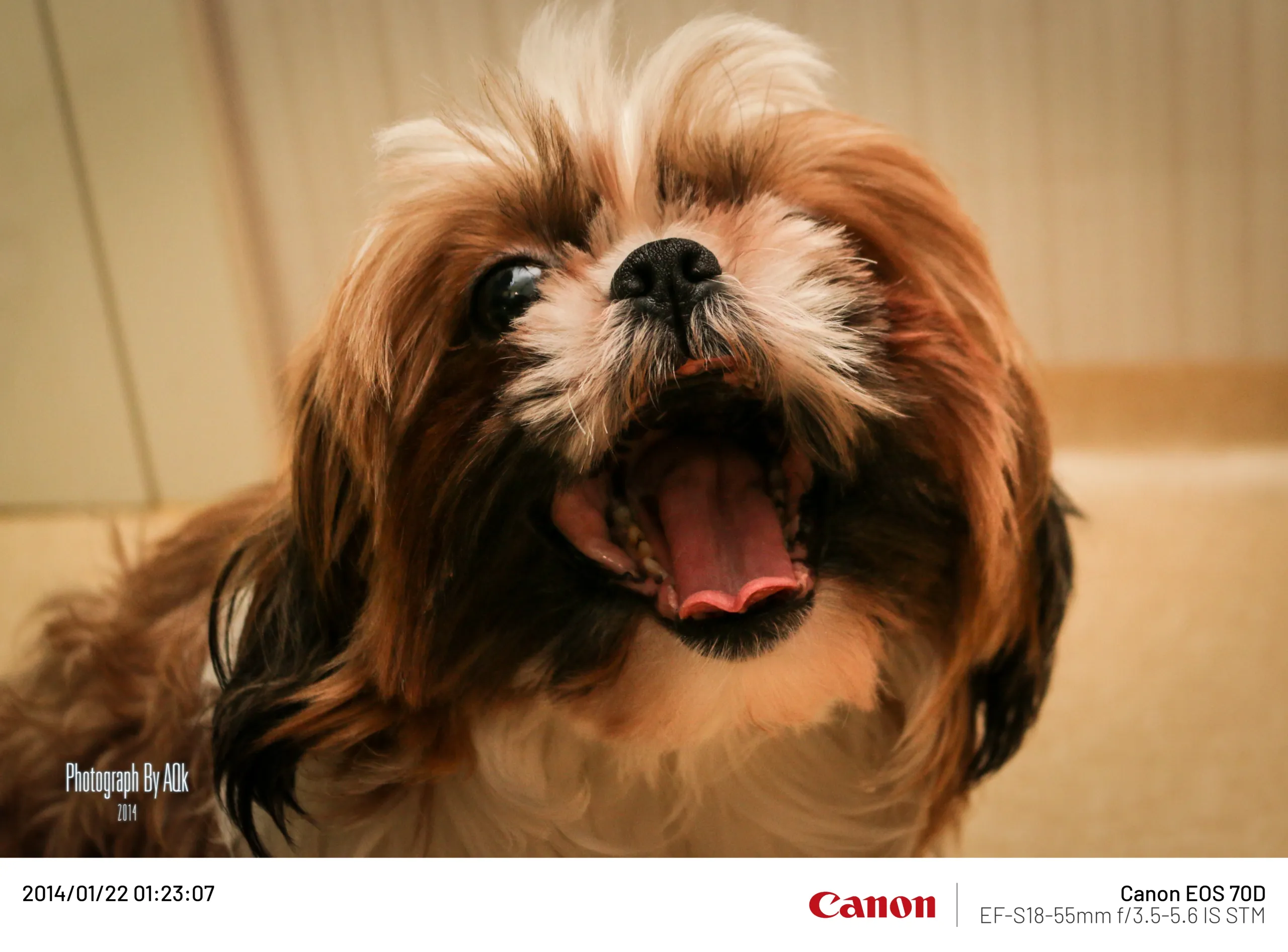 20140122-1.webp