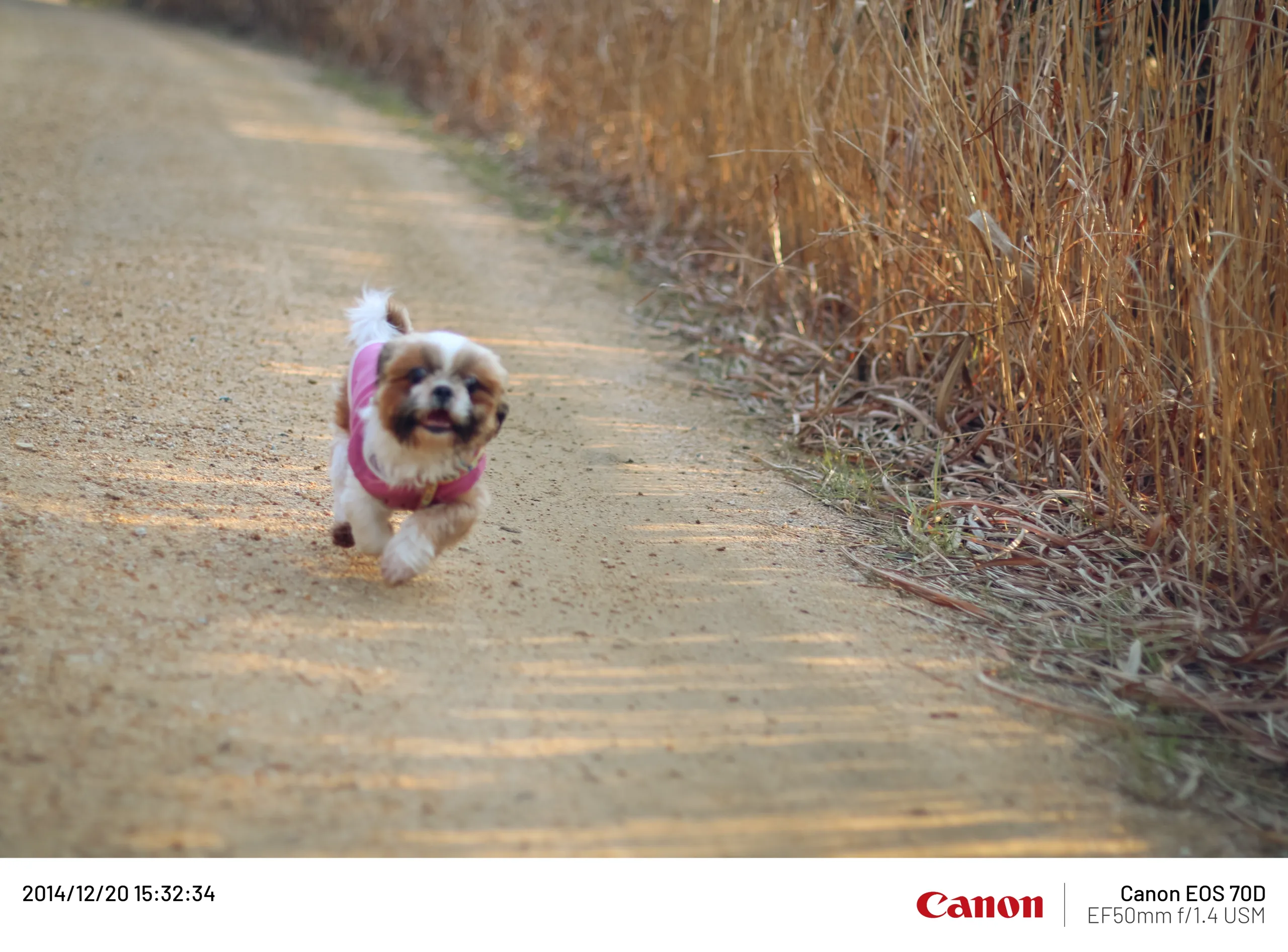 20141220-025.webp