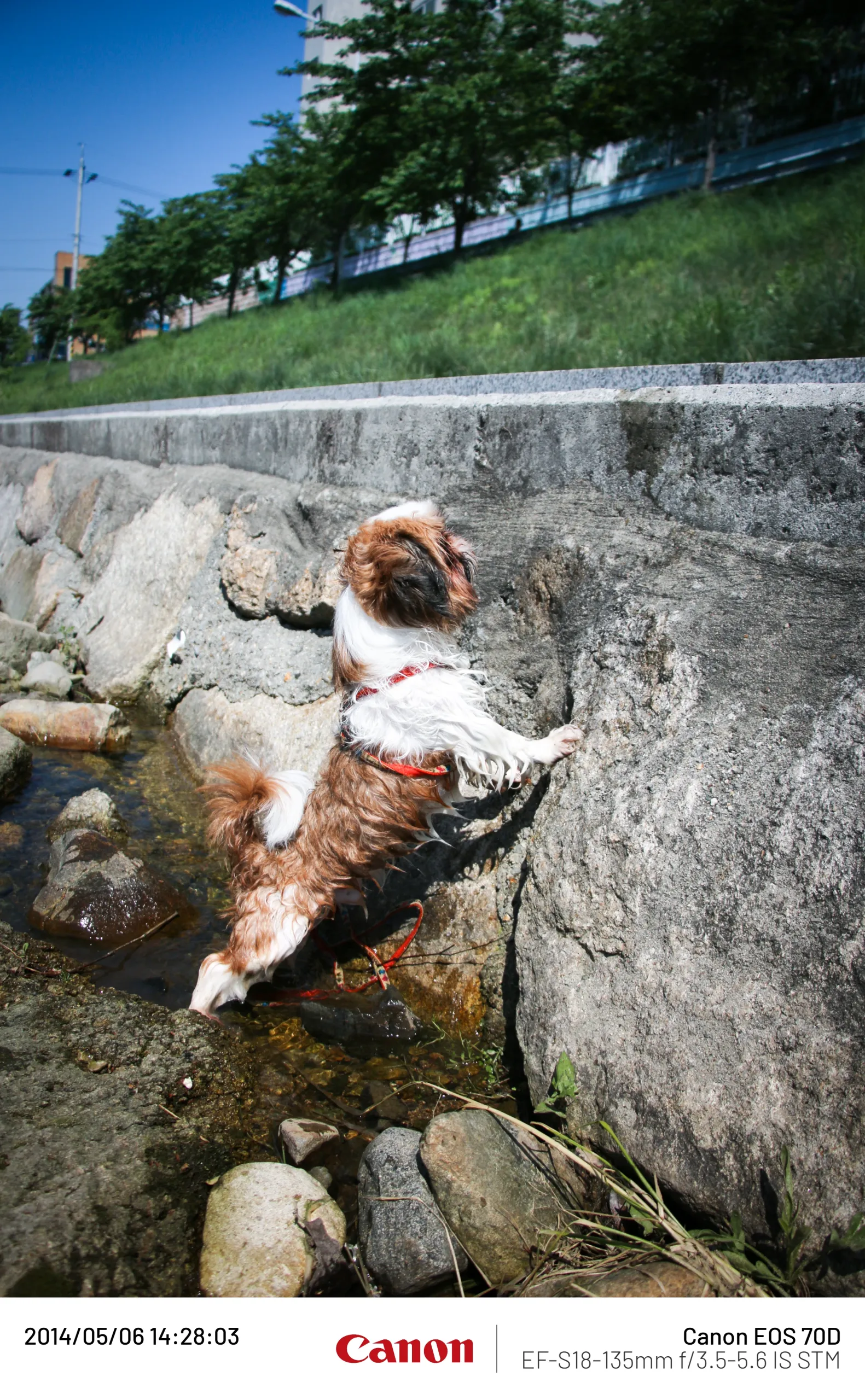 20140506 (8).webp