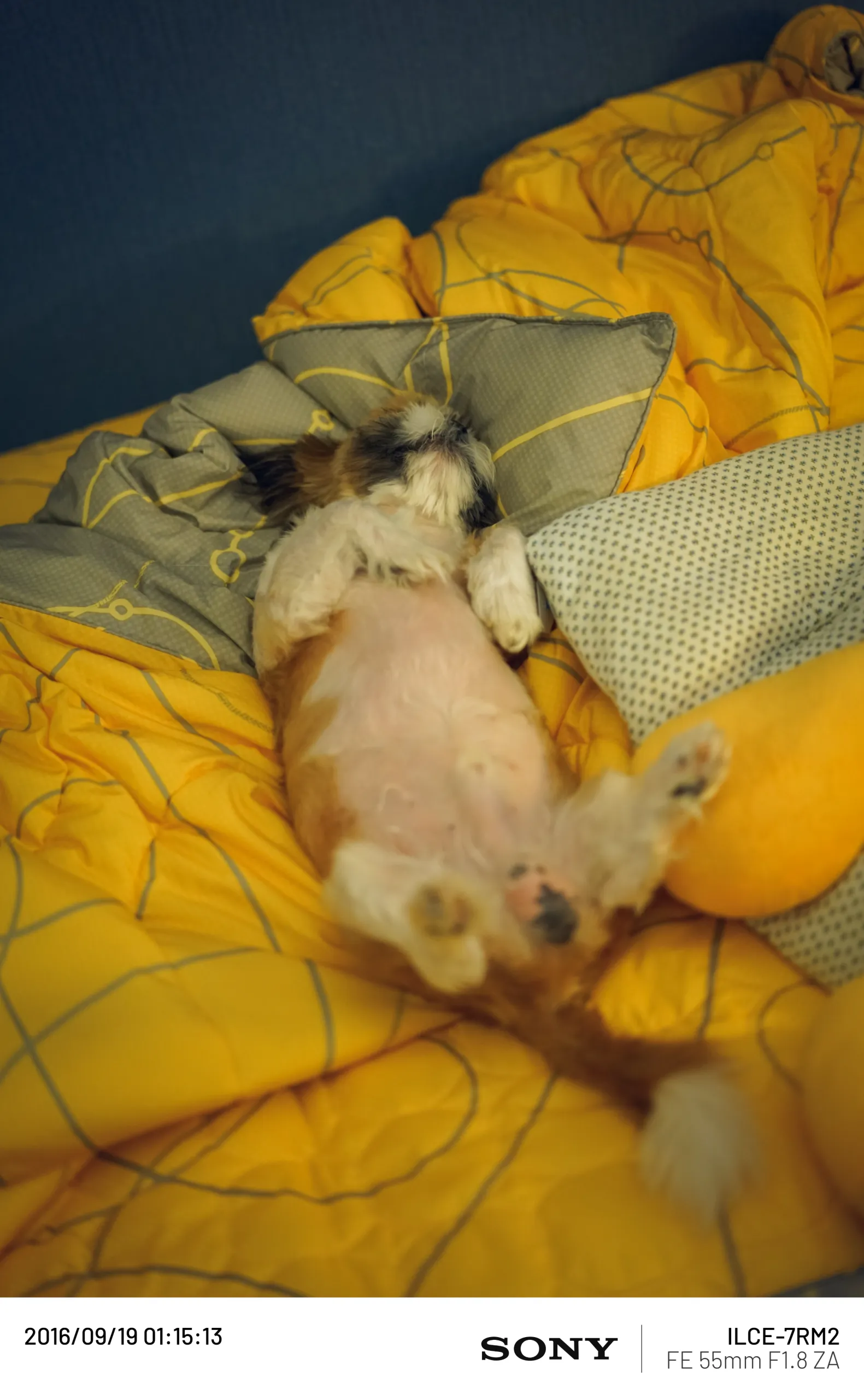 20160919-DSC00439.webp