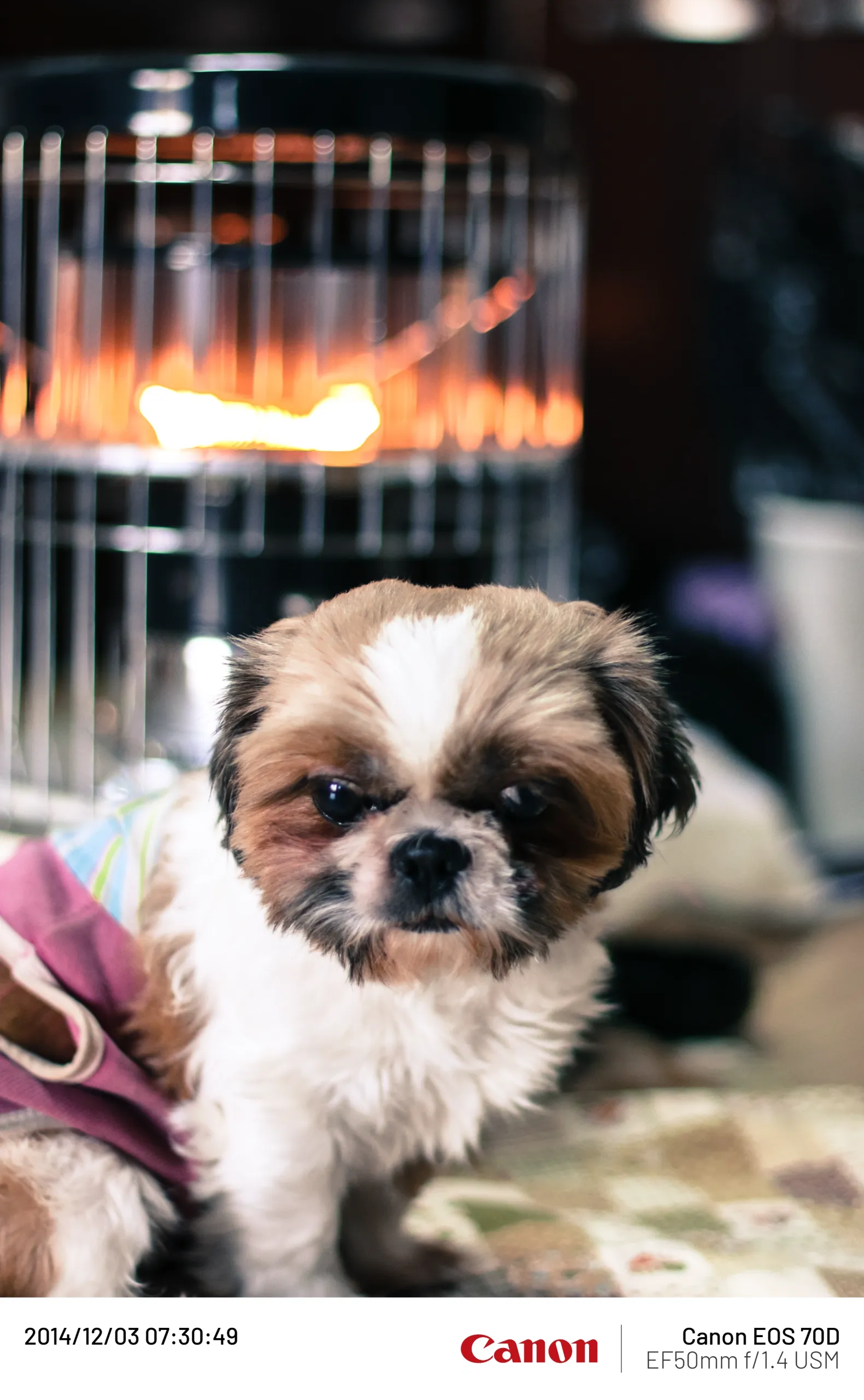 20141203-1.webp