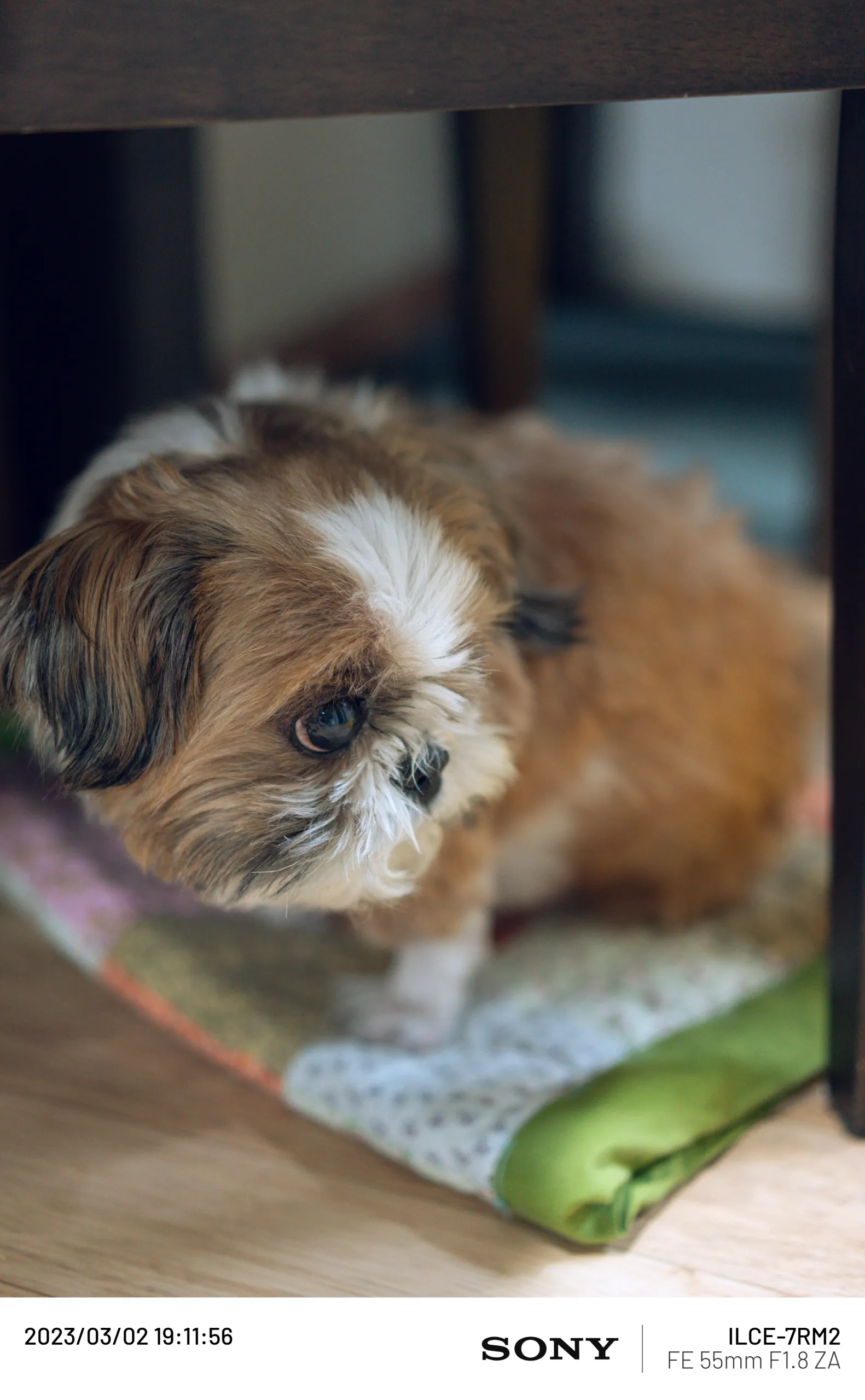 20230302-DSC04280.webp