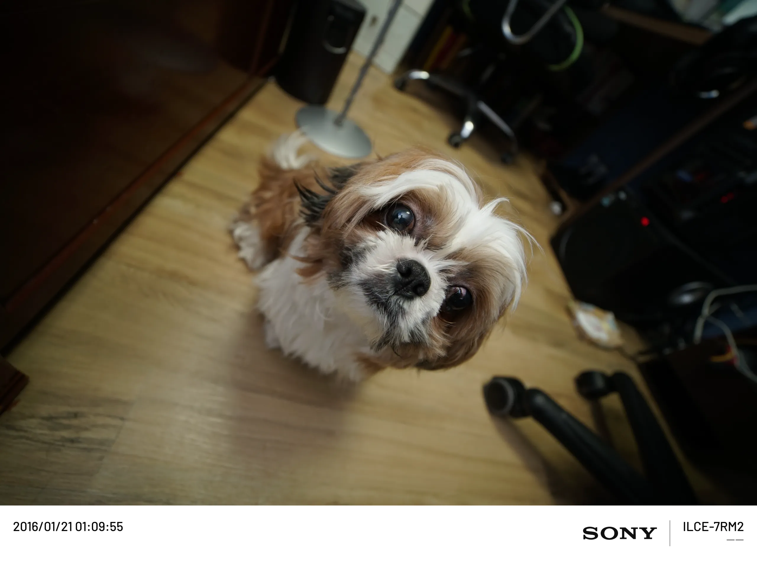 20160121-DSC03131.webp