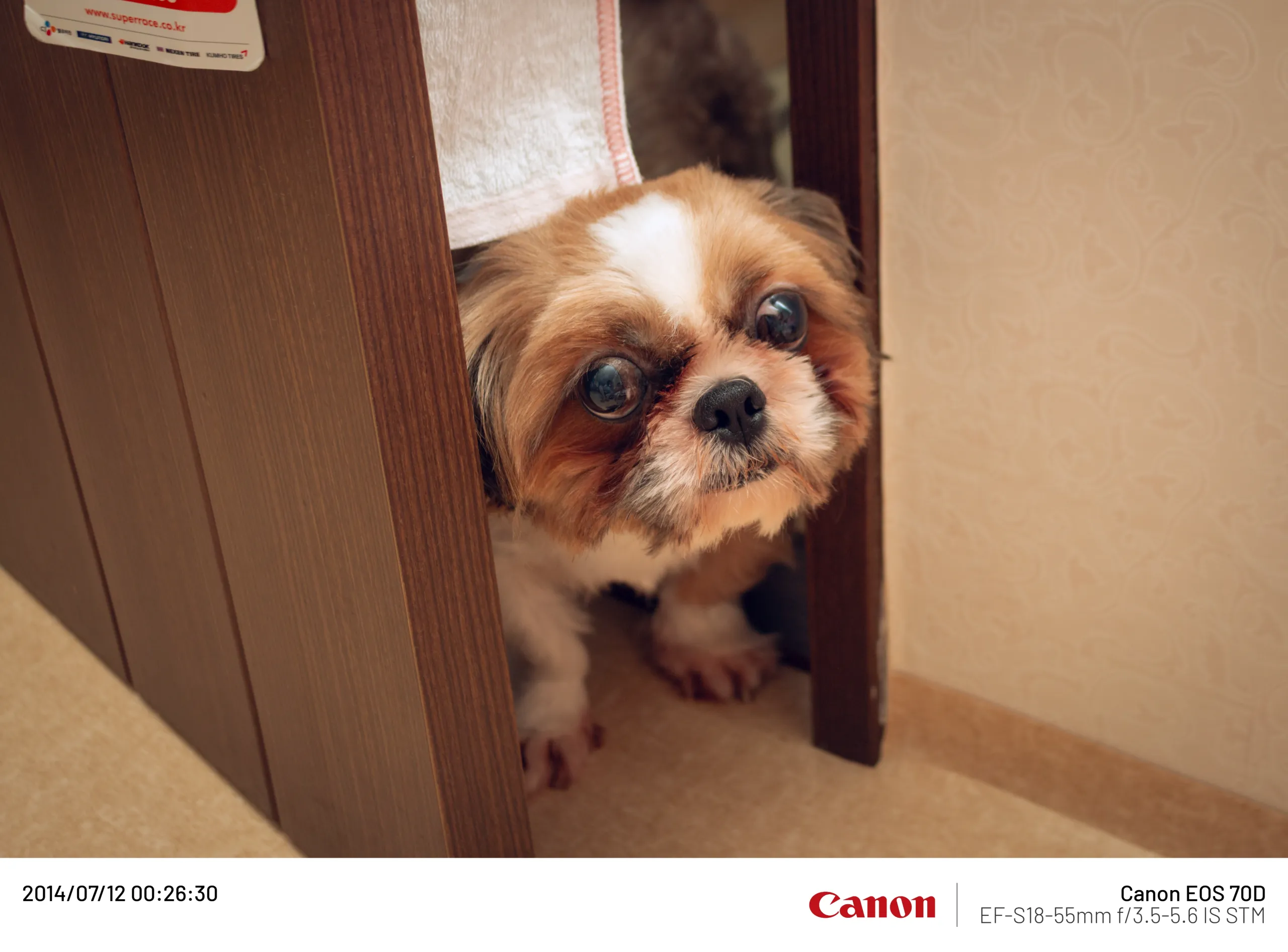 20140712-001.webp