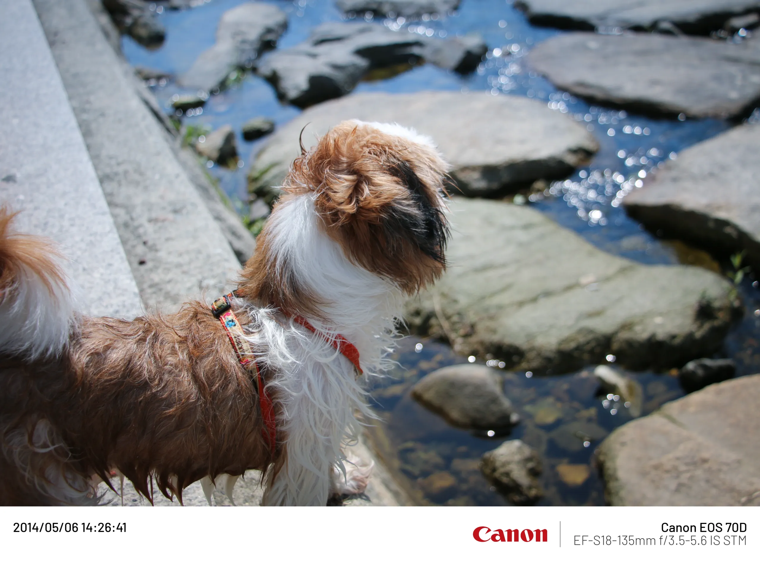 20140506 (7).webp
