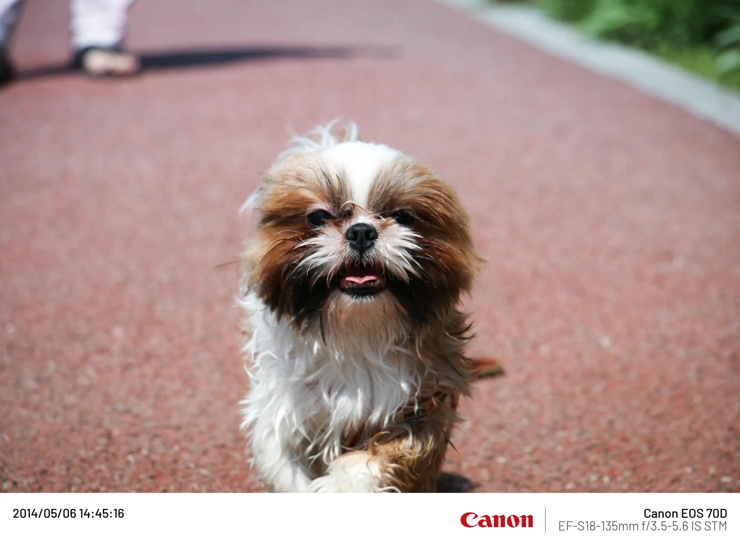 20140506 (14).webp