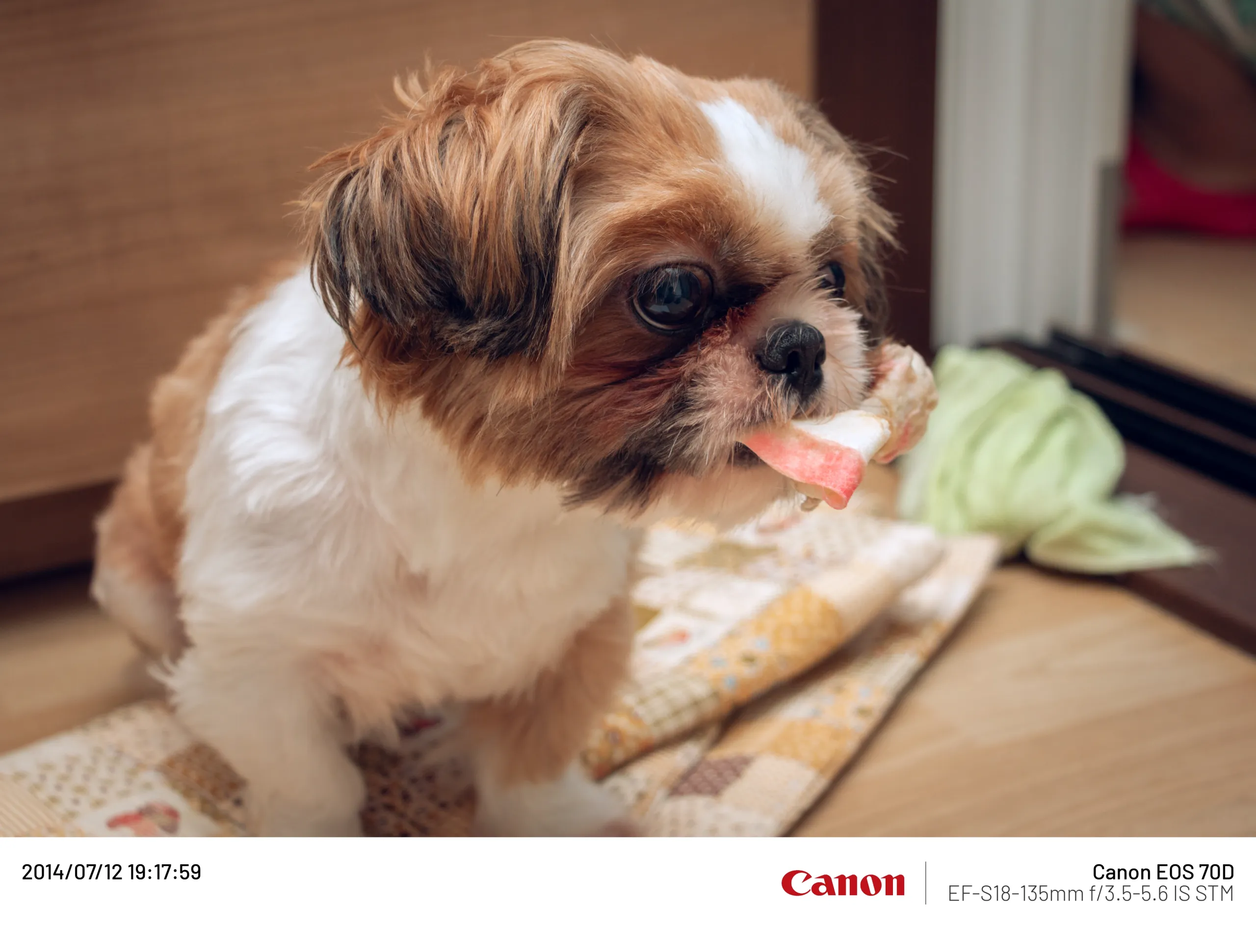 20140712-142.webp