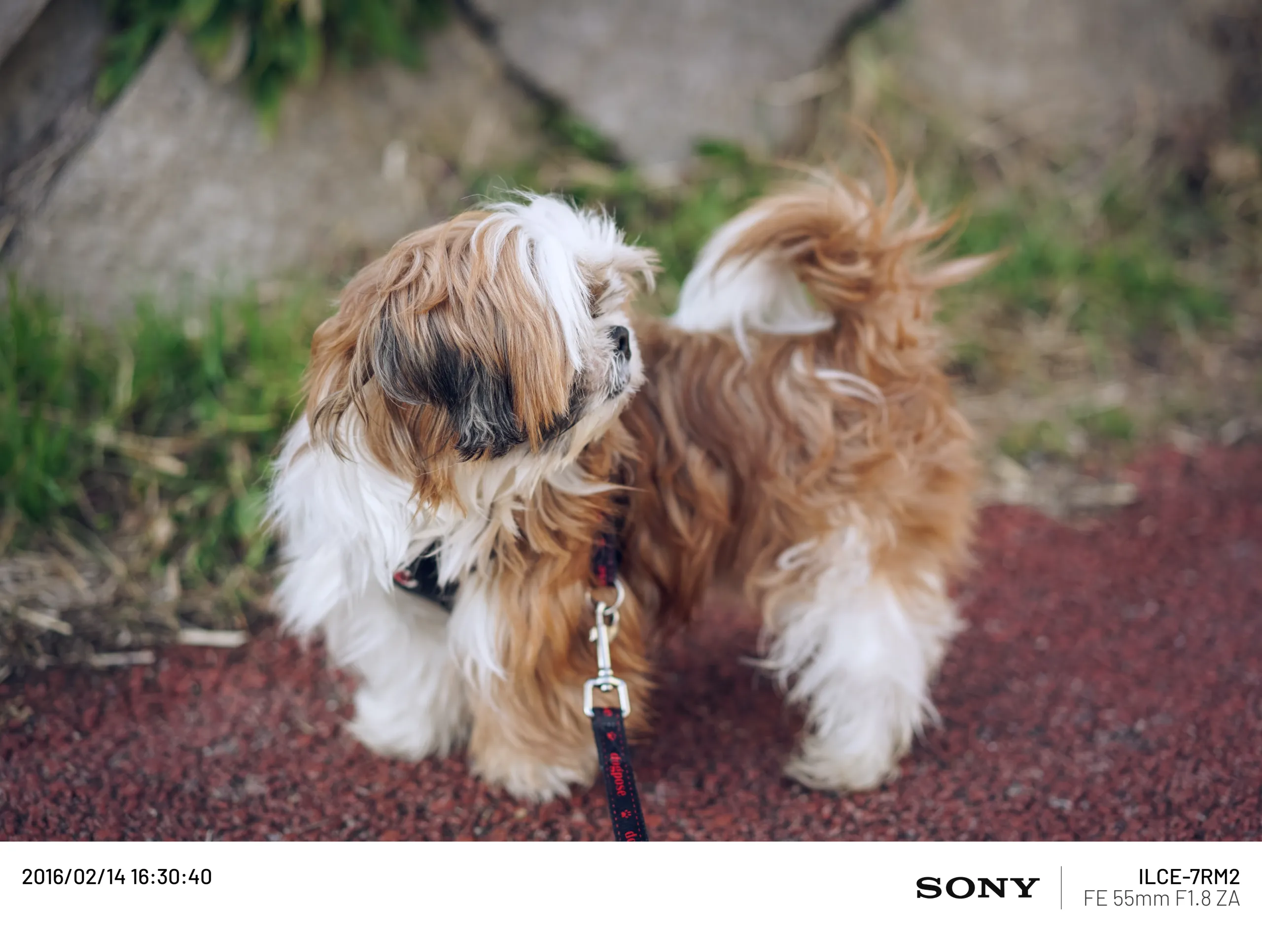 20160214-006.webp