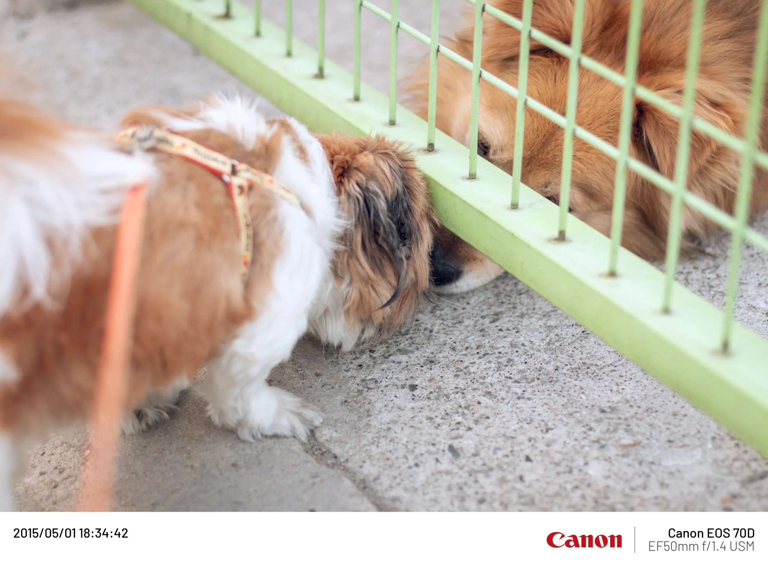 20150501-026.webp