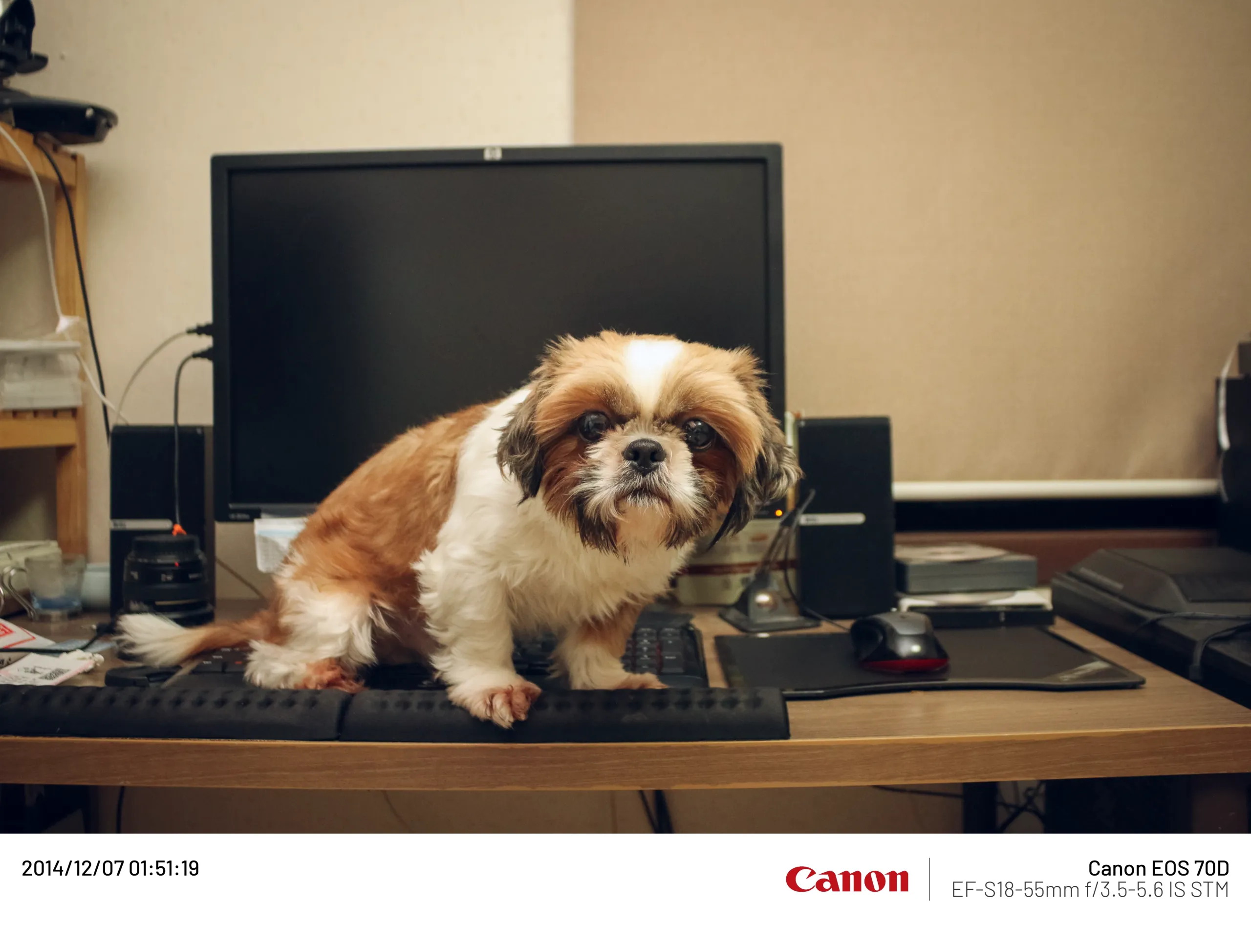 20141207-012.webp