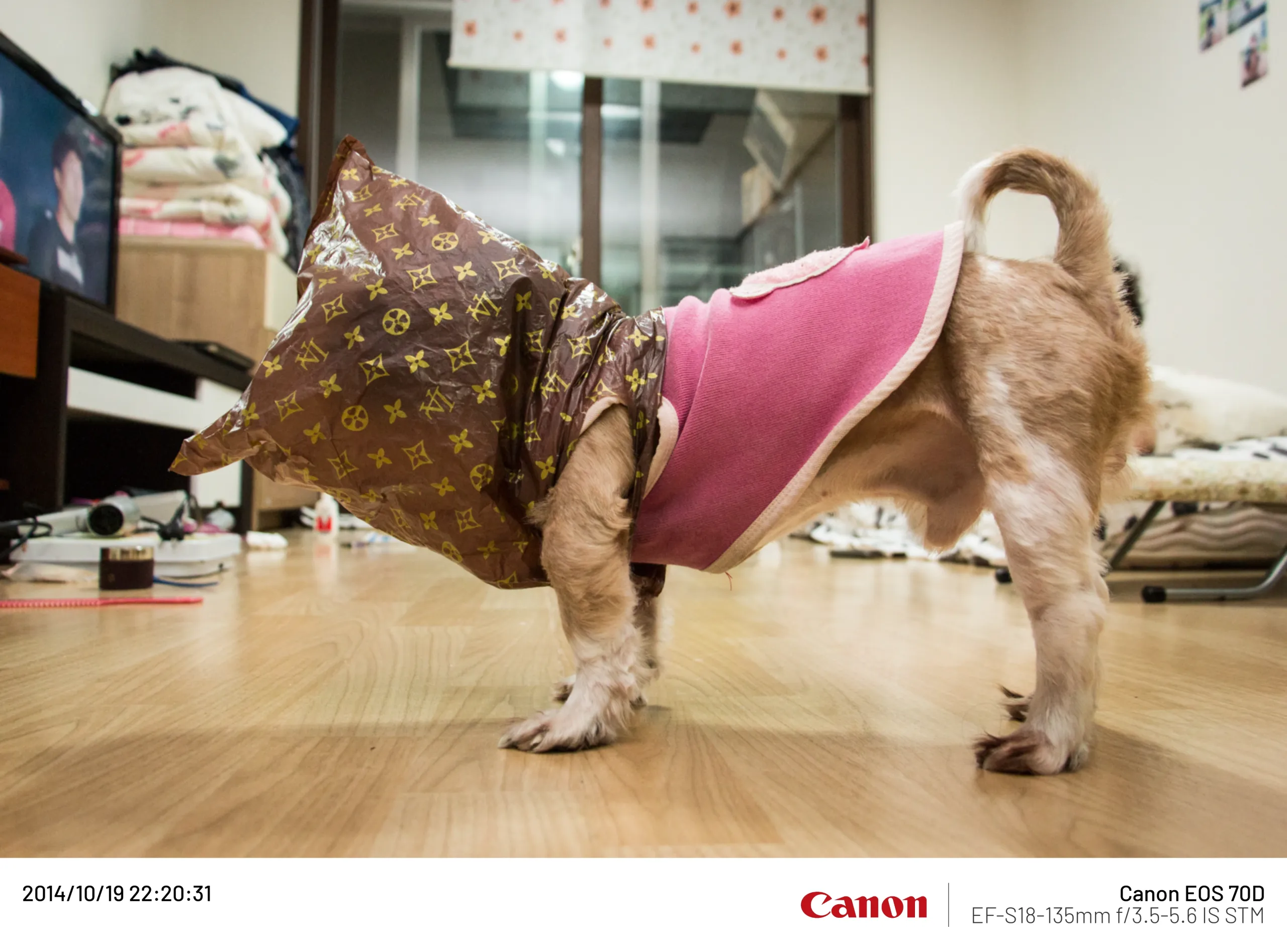 20141019.webp