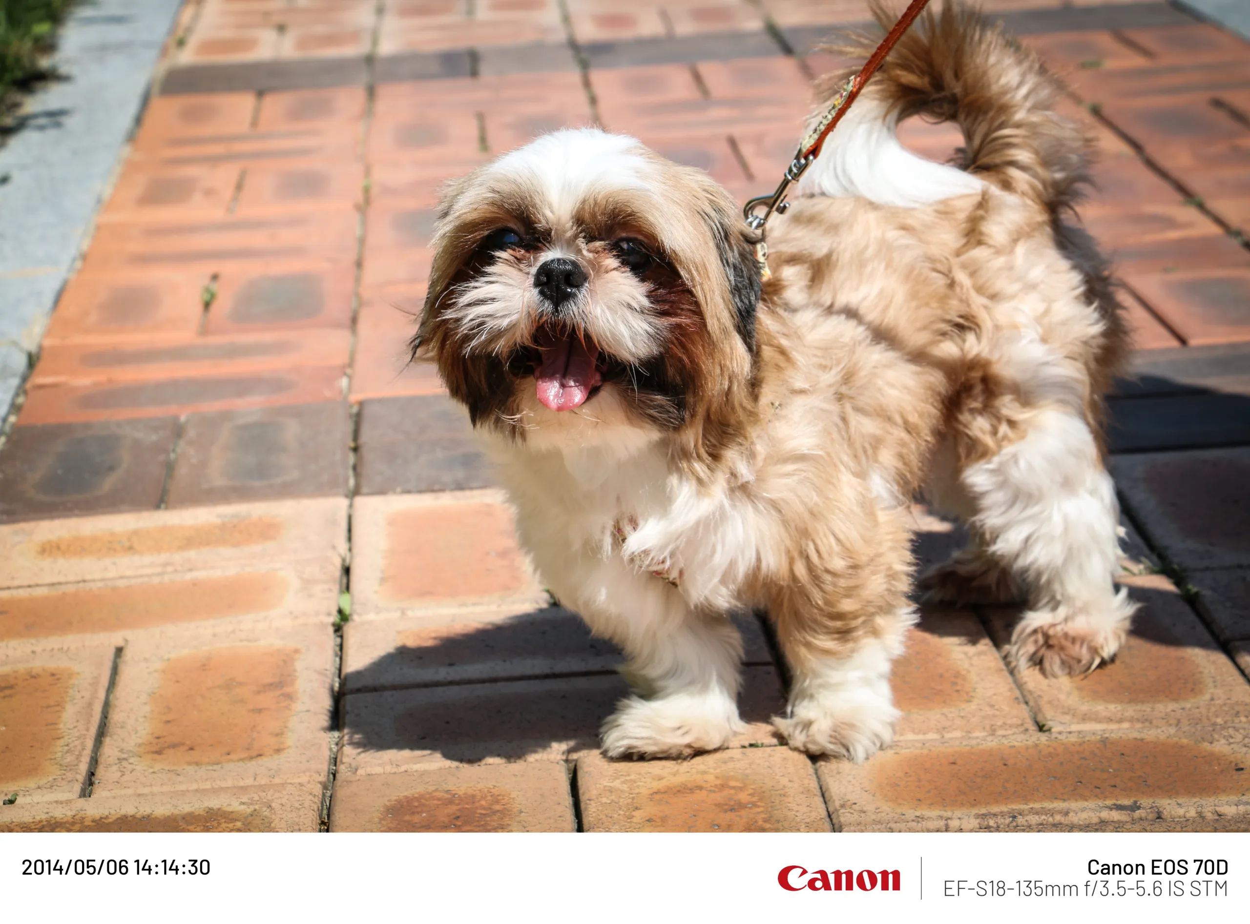 20140506 (1).webp