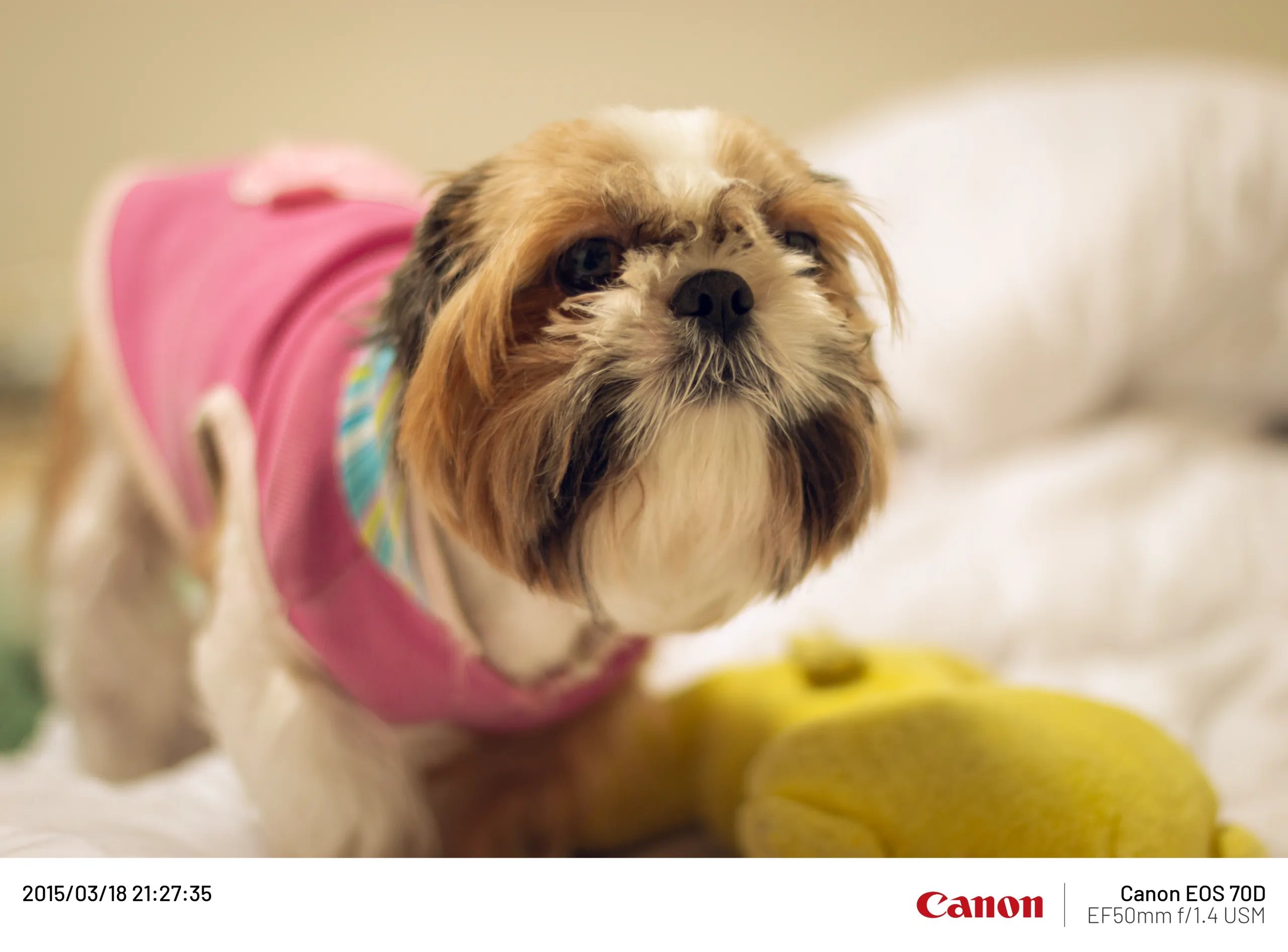 20150318-001.webp