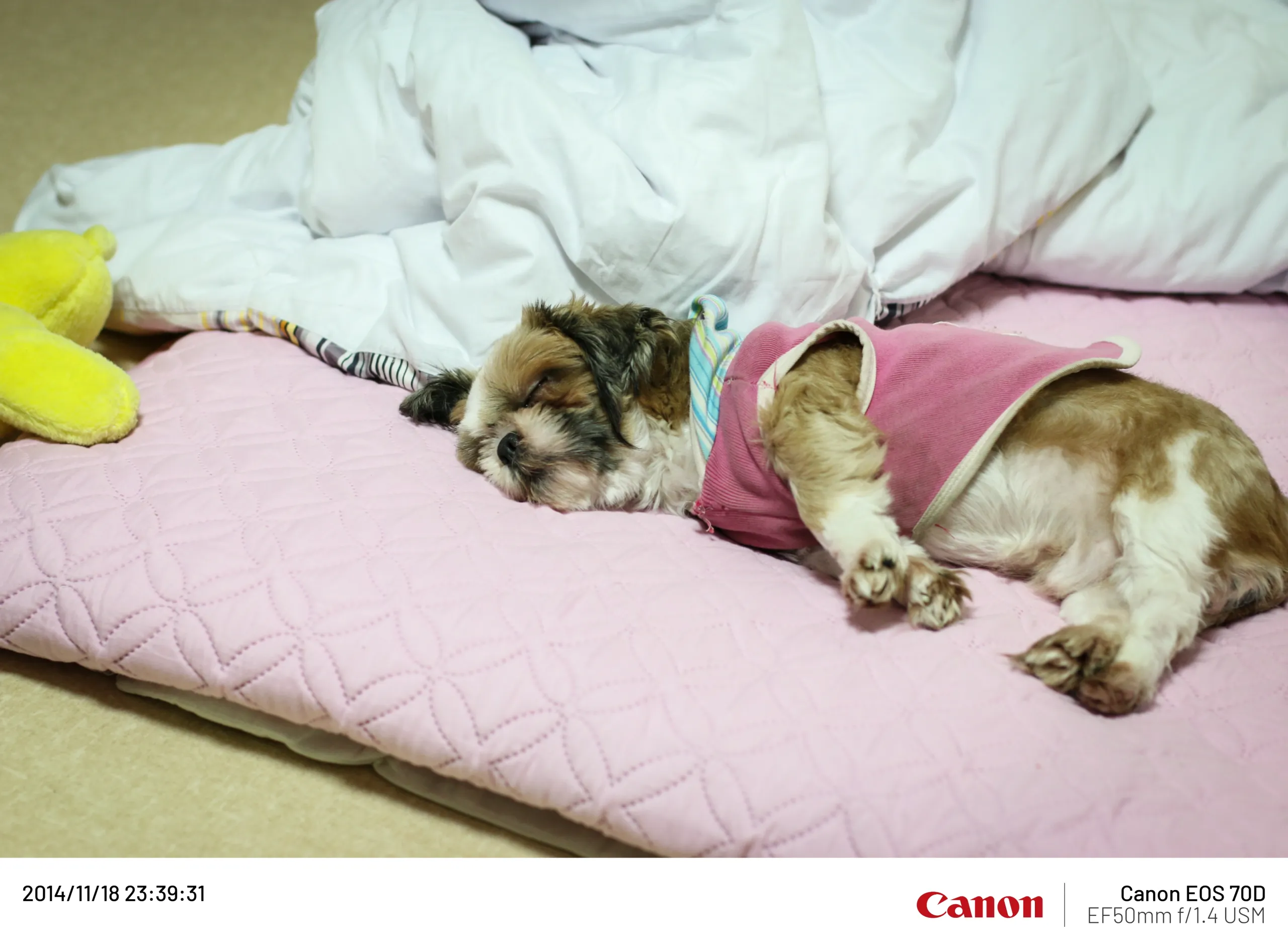 20141118-2.webp